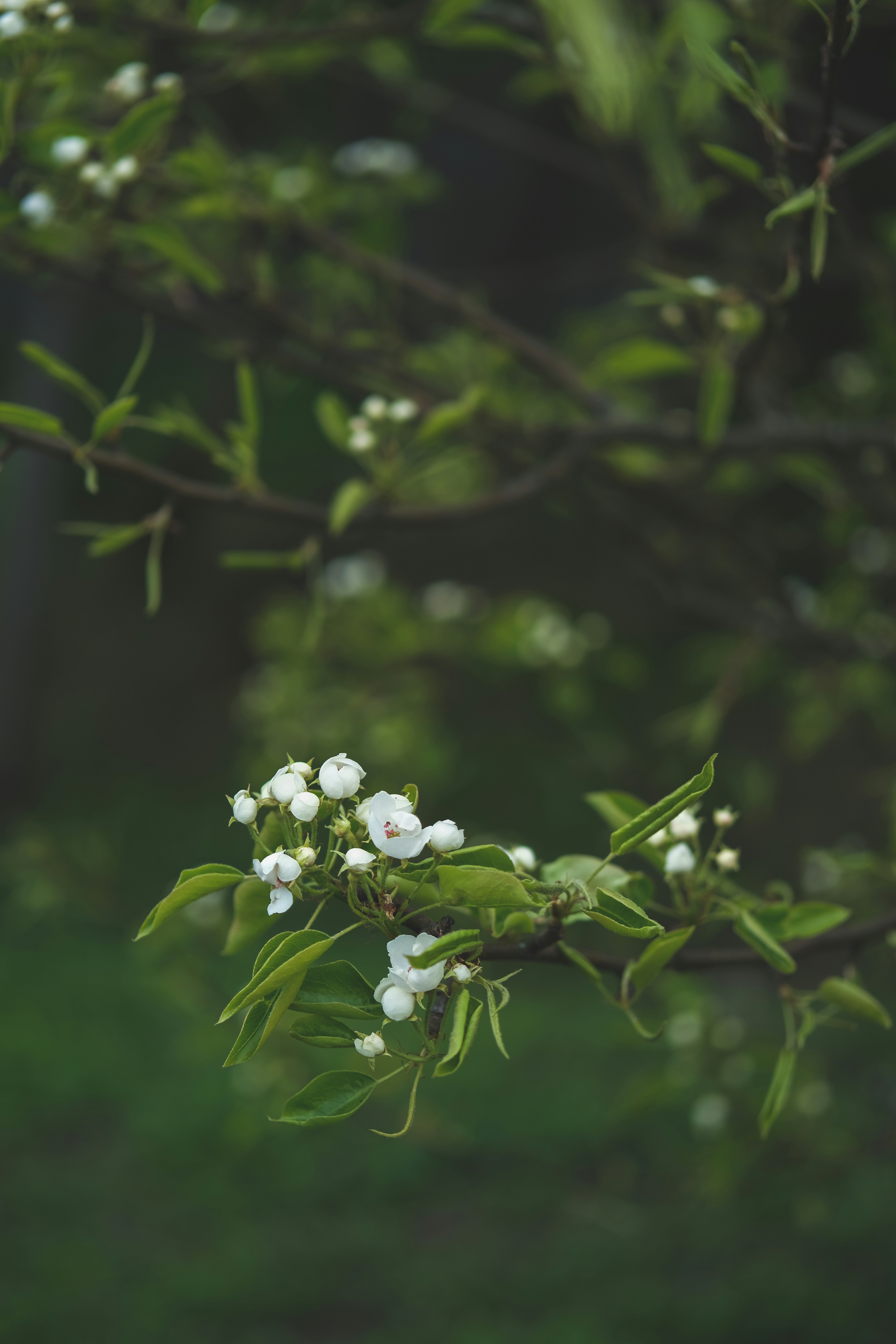 Photo by rolig_basseng