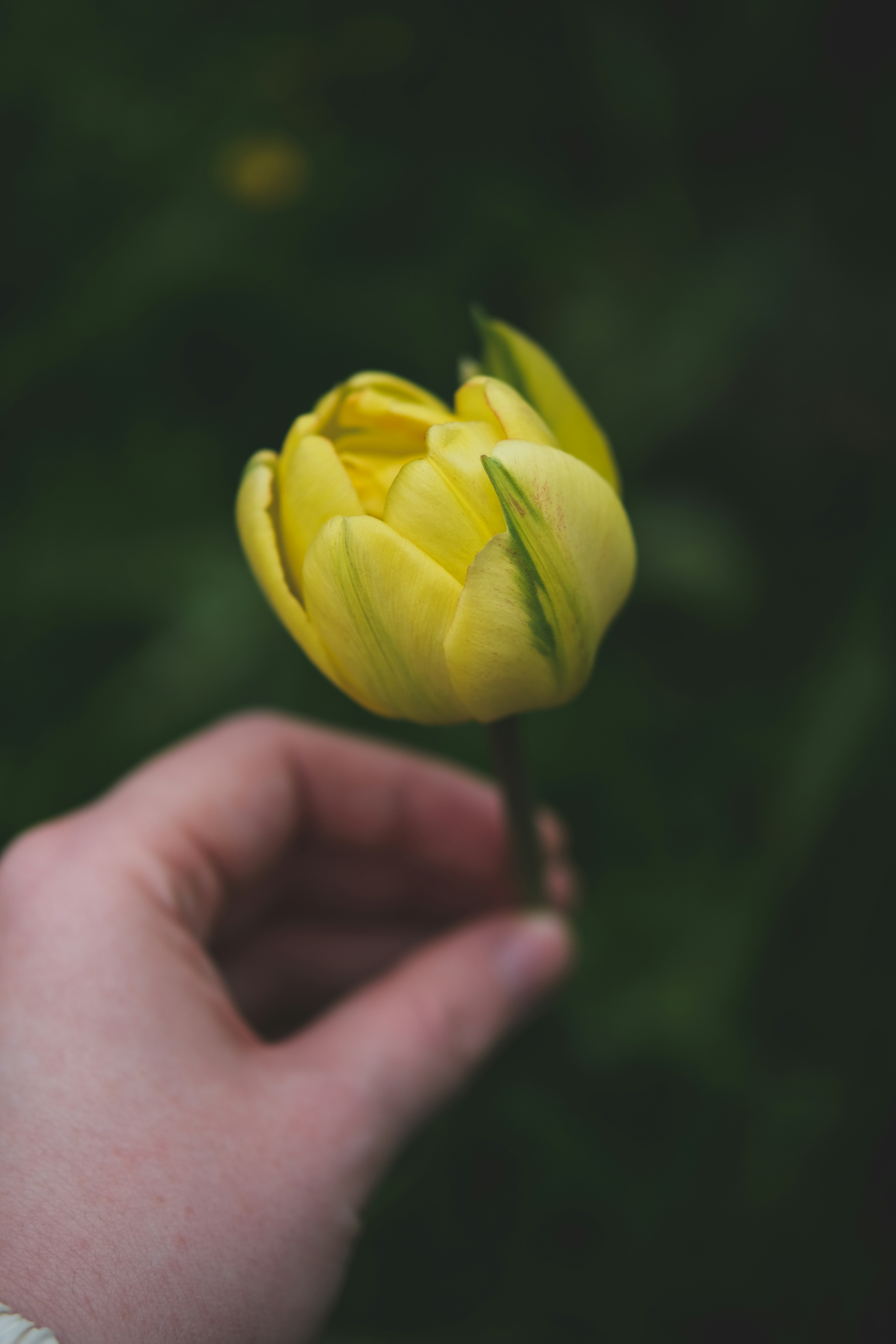 Photo by rolig_basseng