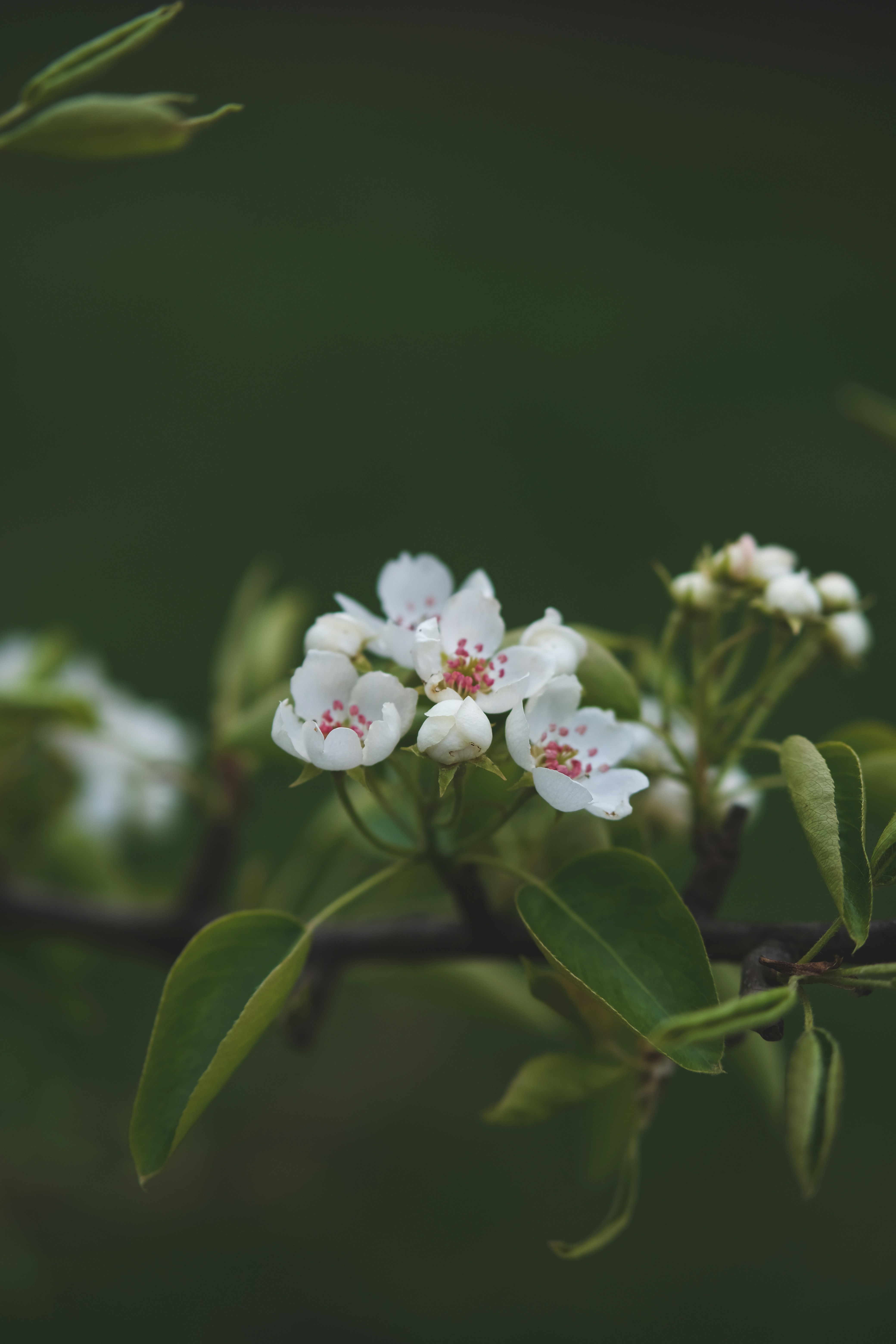 Photo by rolig_basseng