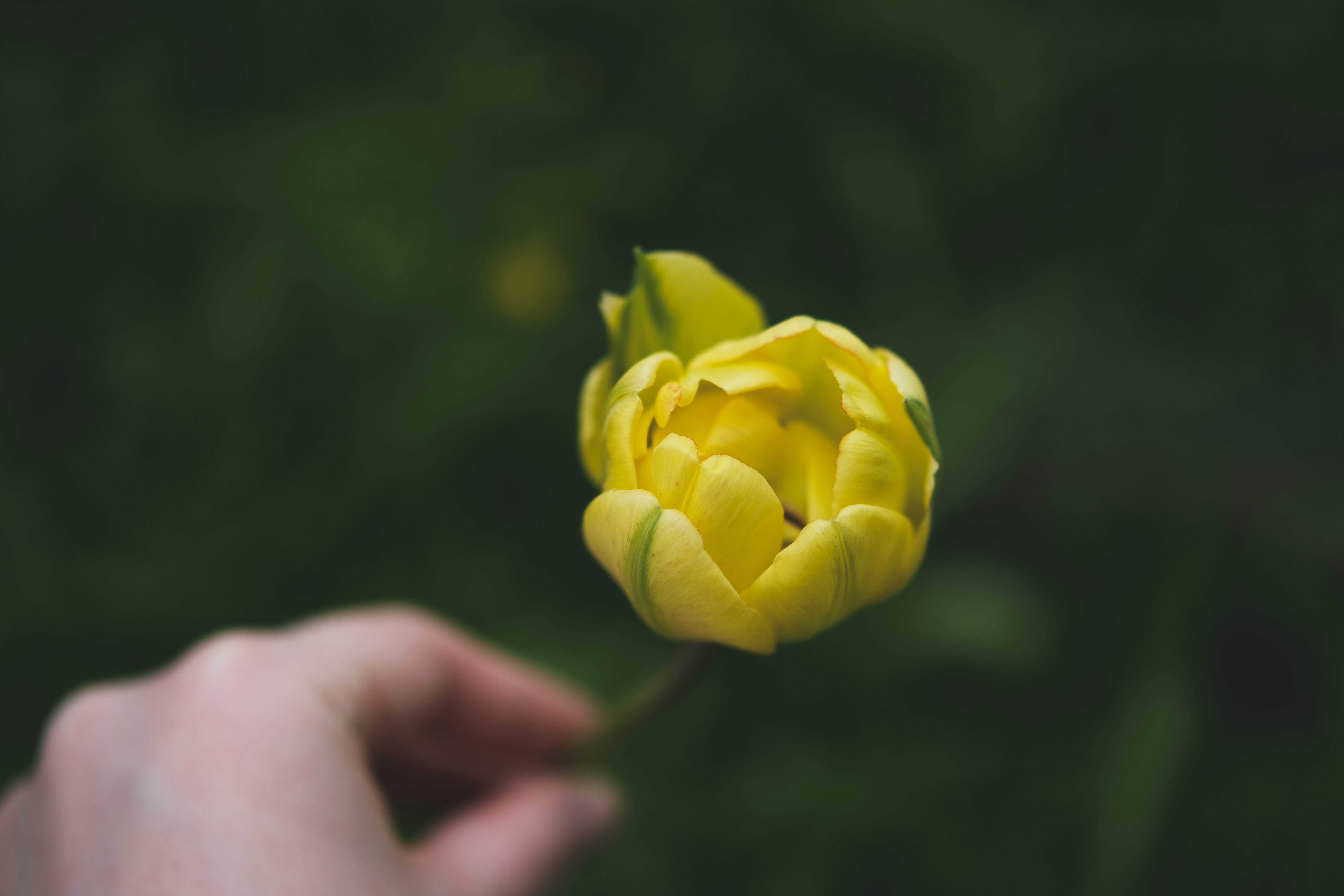 Photo by rolig_basseng