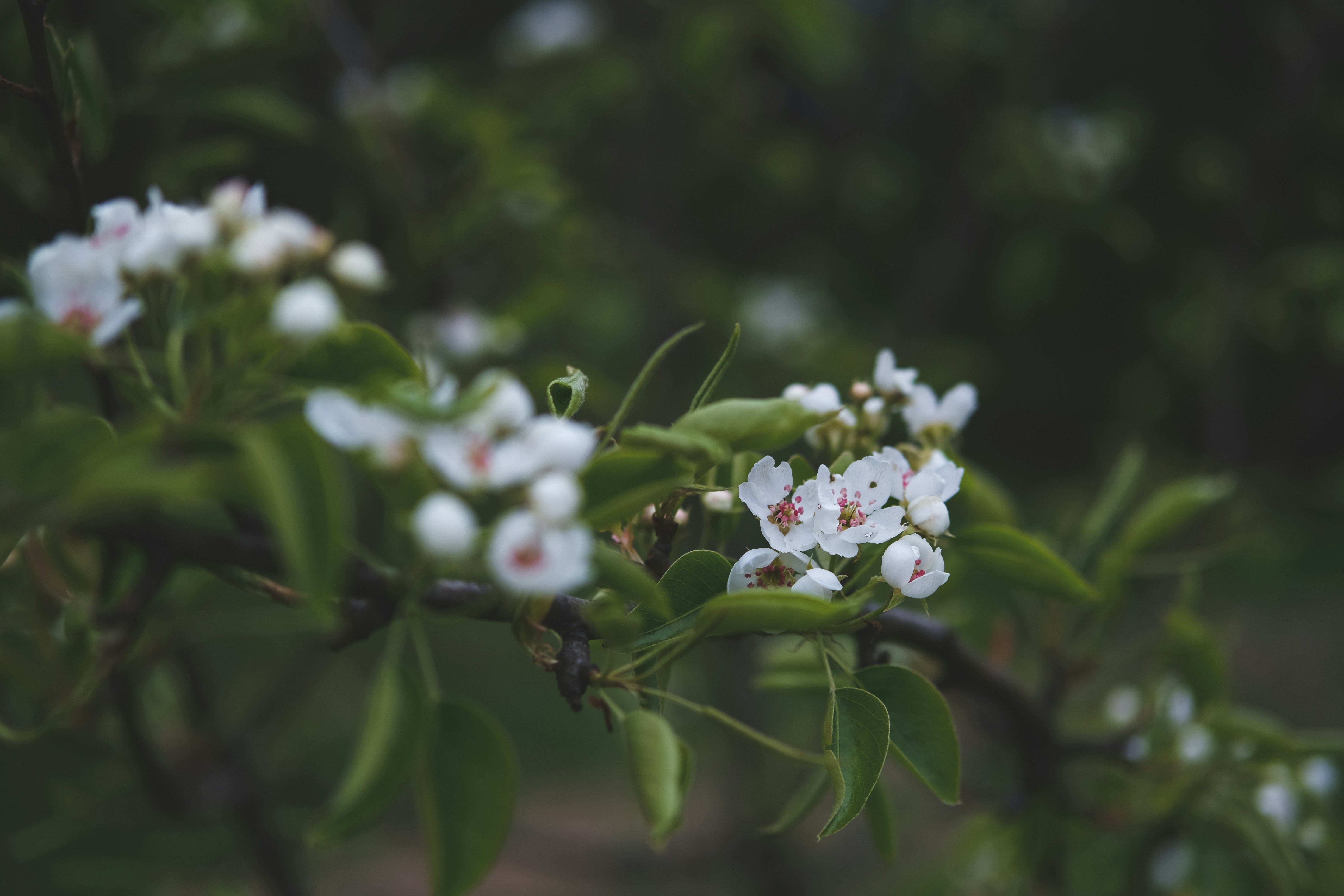 Photo by rolig_basseng