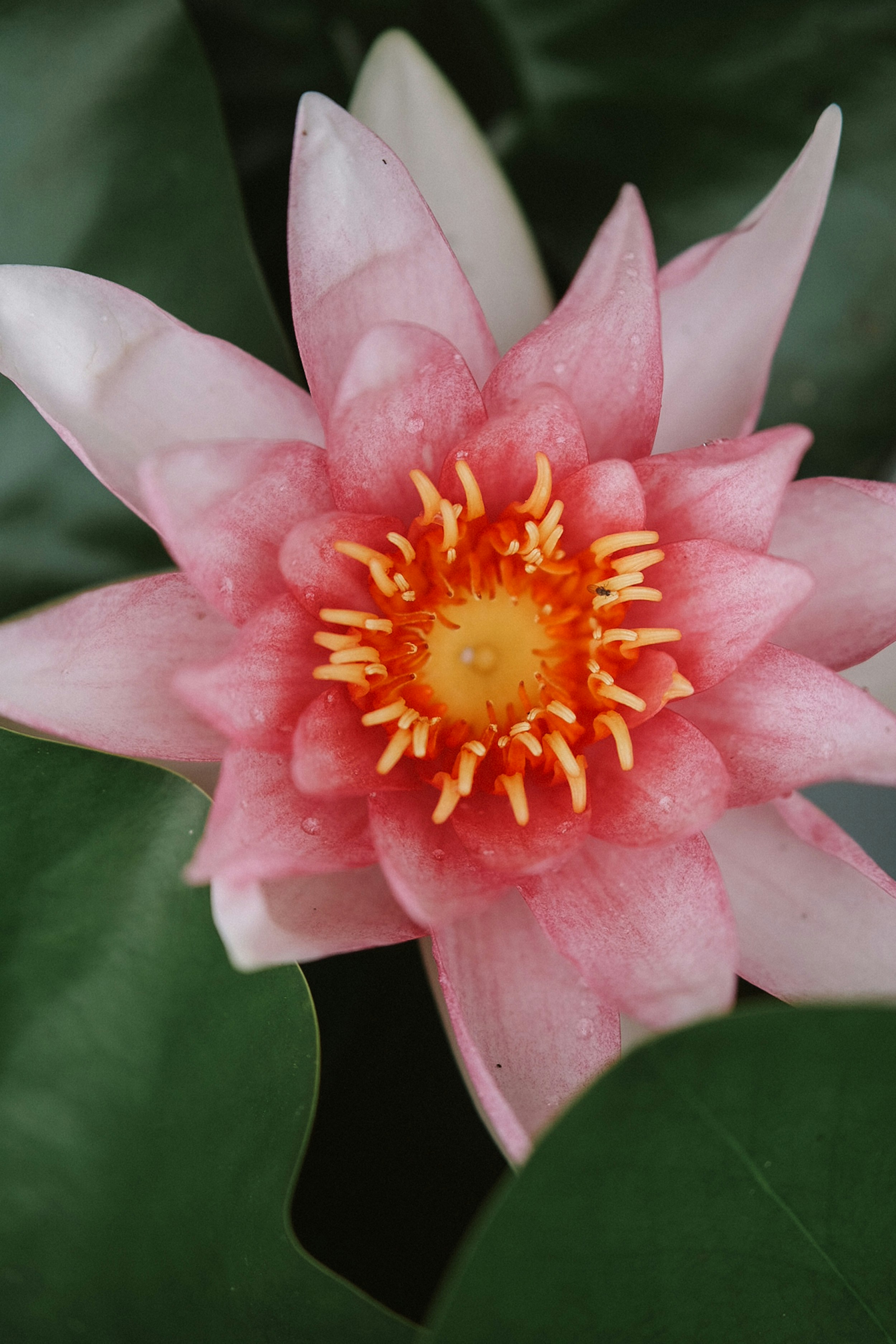 Photo by brzozowskakrzysia