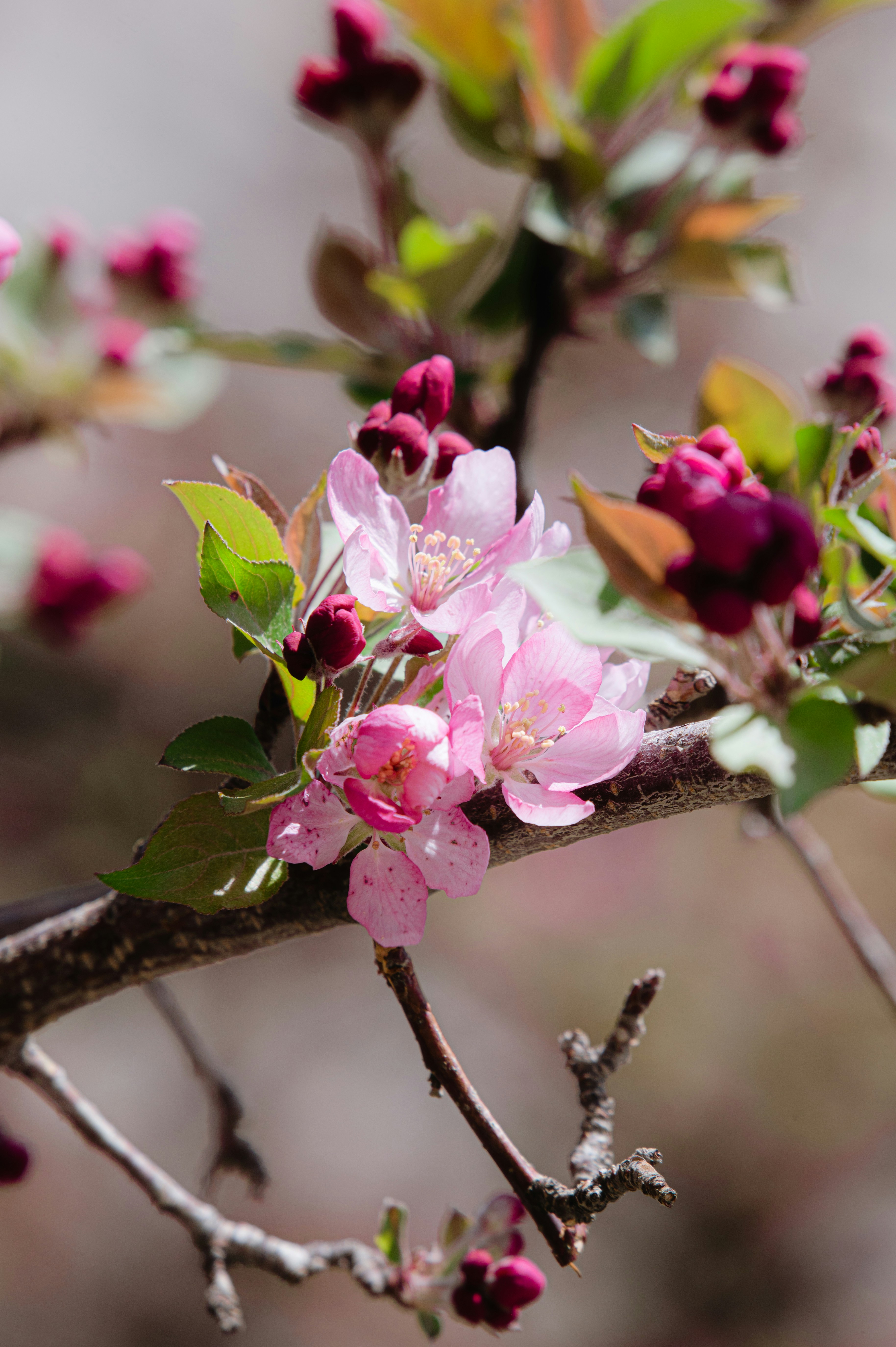 Photo by ryunosuke_kikuno