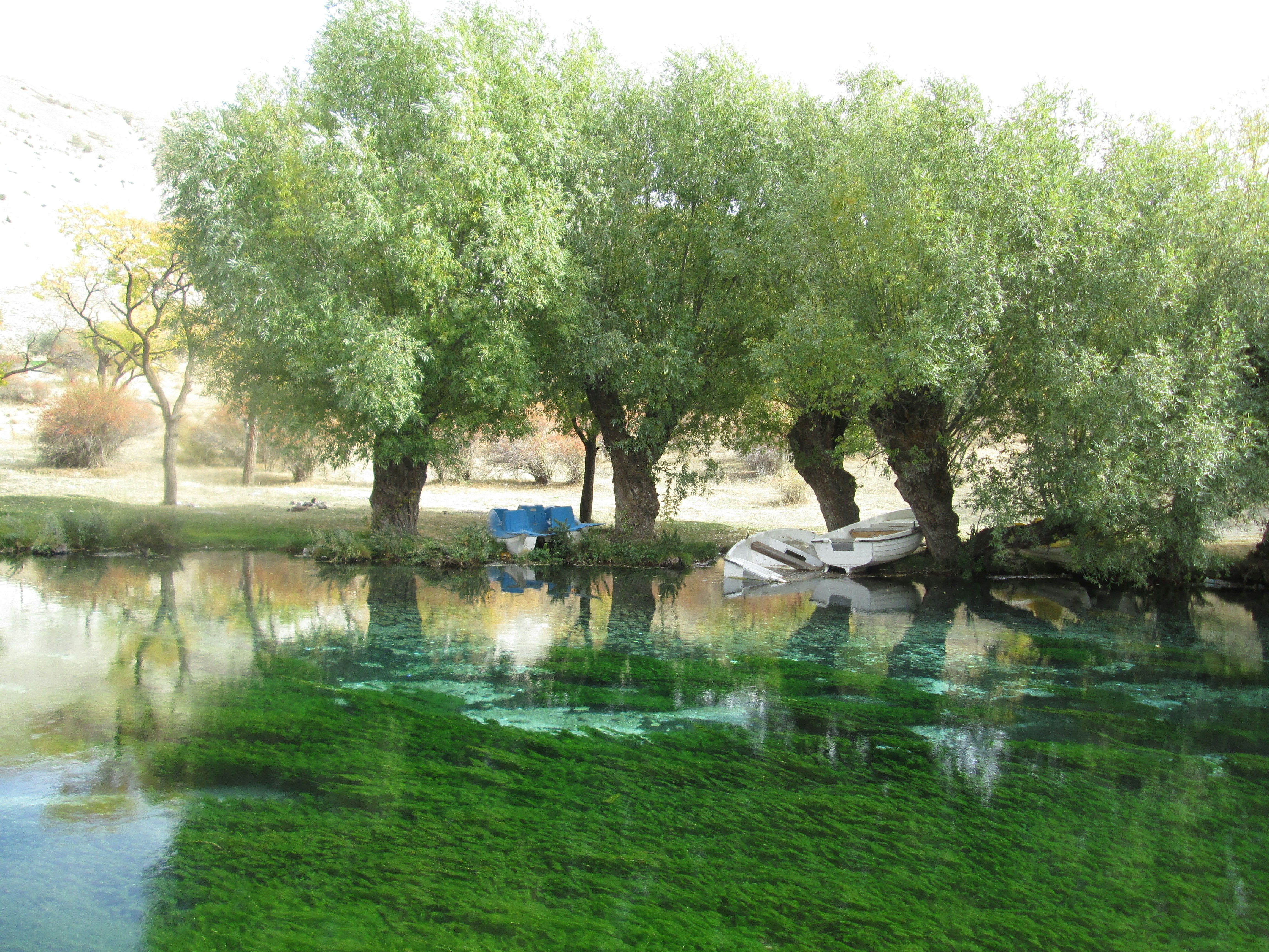Zona Verde