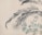 Delicate watercolor painting featuring large leaves and intricately detailed flowers. The leaves are shaded with soft grays and blues, while the flowers are depicted with fine lines and subtle blue and tan tones.