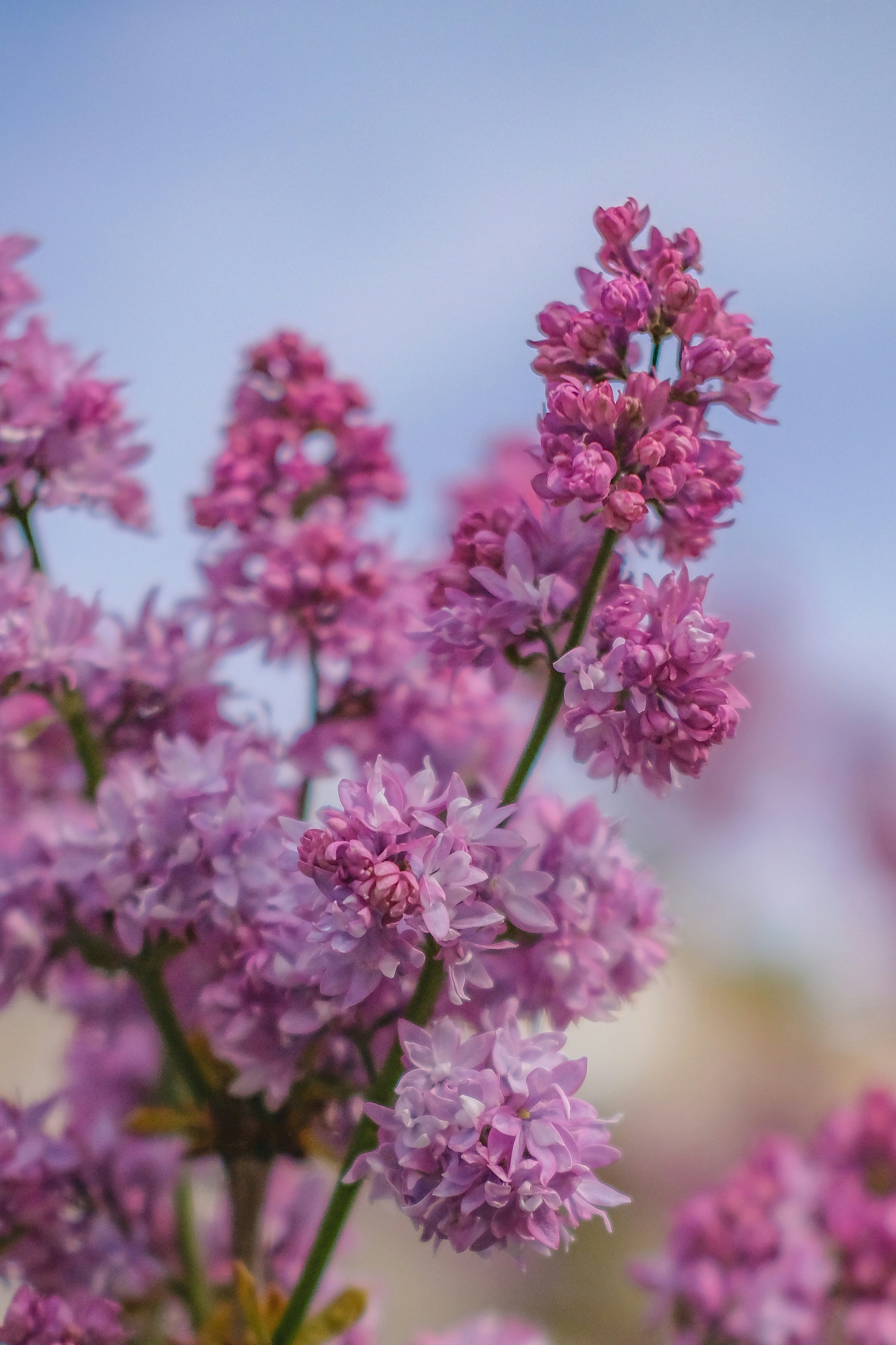 Photo by hellonataly1