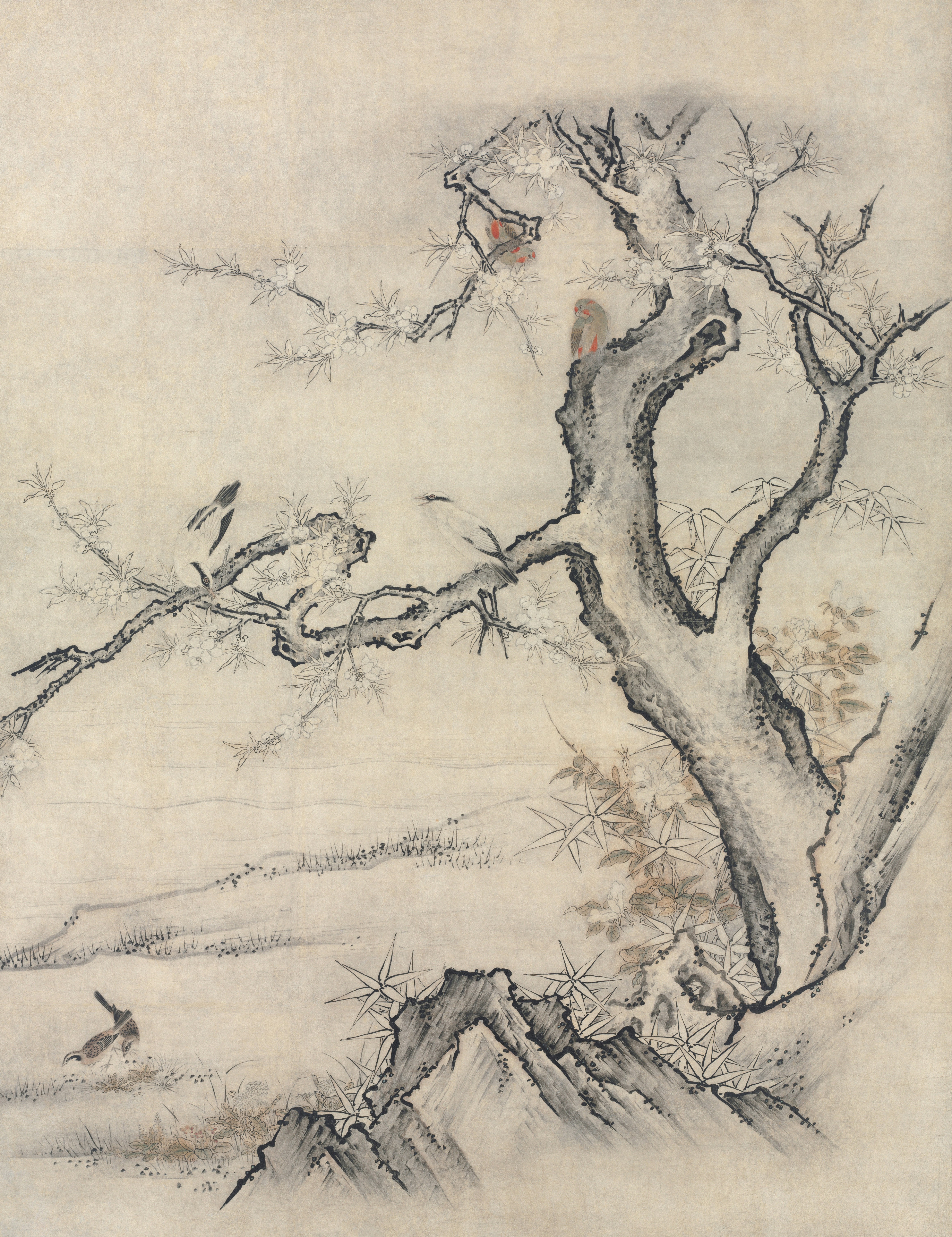 Photo by clevelandart