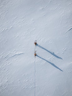 two people are skiing down a snowy hill