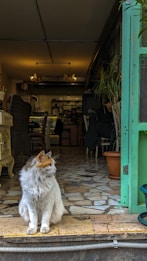 A fluffy cat with white and orange fur is sitting at the entrance of a cozy cafe, looking to the side. The interior features vintage-style furniture, soft lighting, and green-tiled walls. Potted plants are placed throughout the space, adding to the warm ambiance.