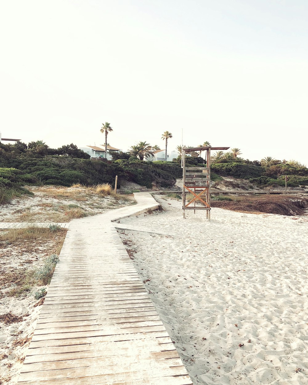 a wooden path leading to a beach with palm trees