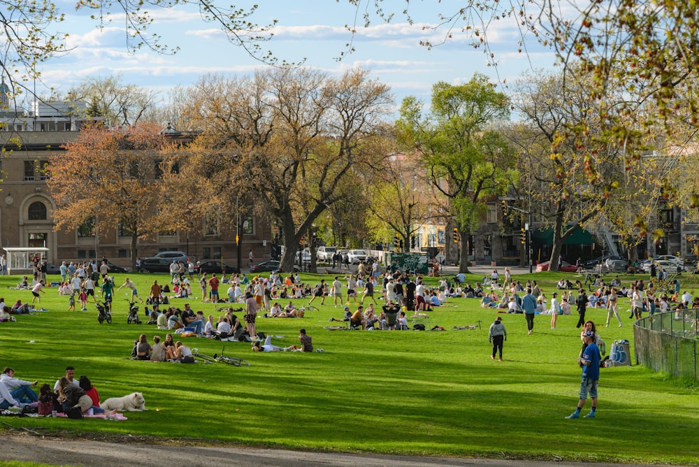 a group of people sitting on top of a lush green field