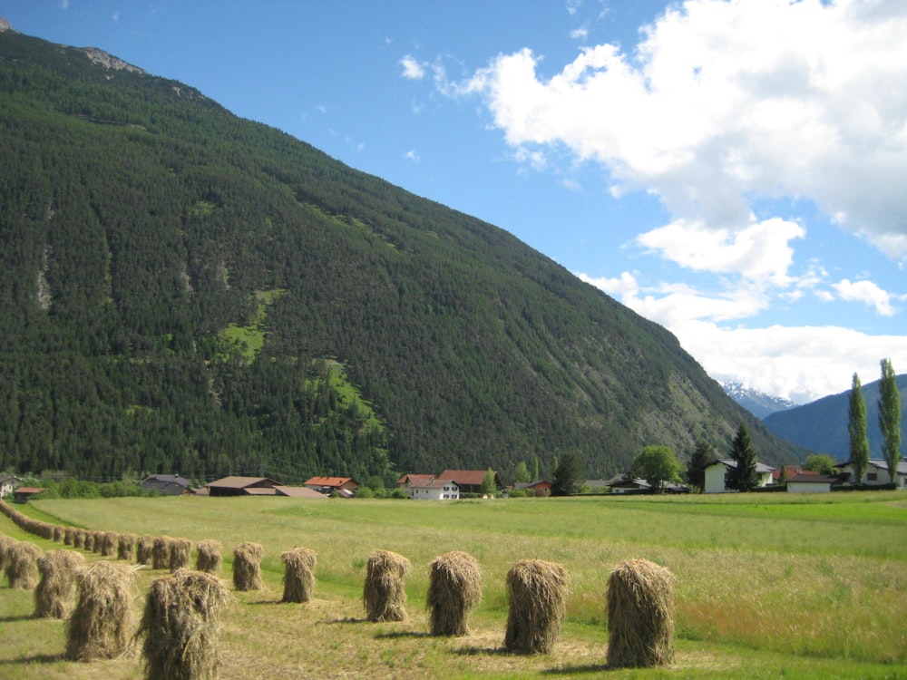a field with hay bales in the foreground and a mountain in the background