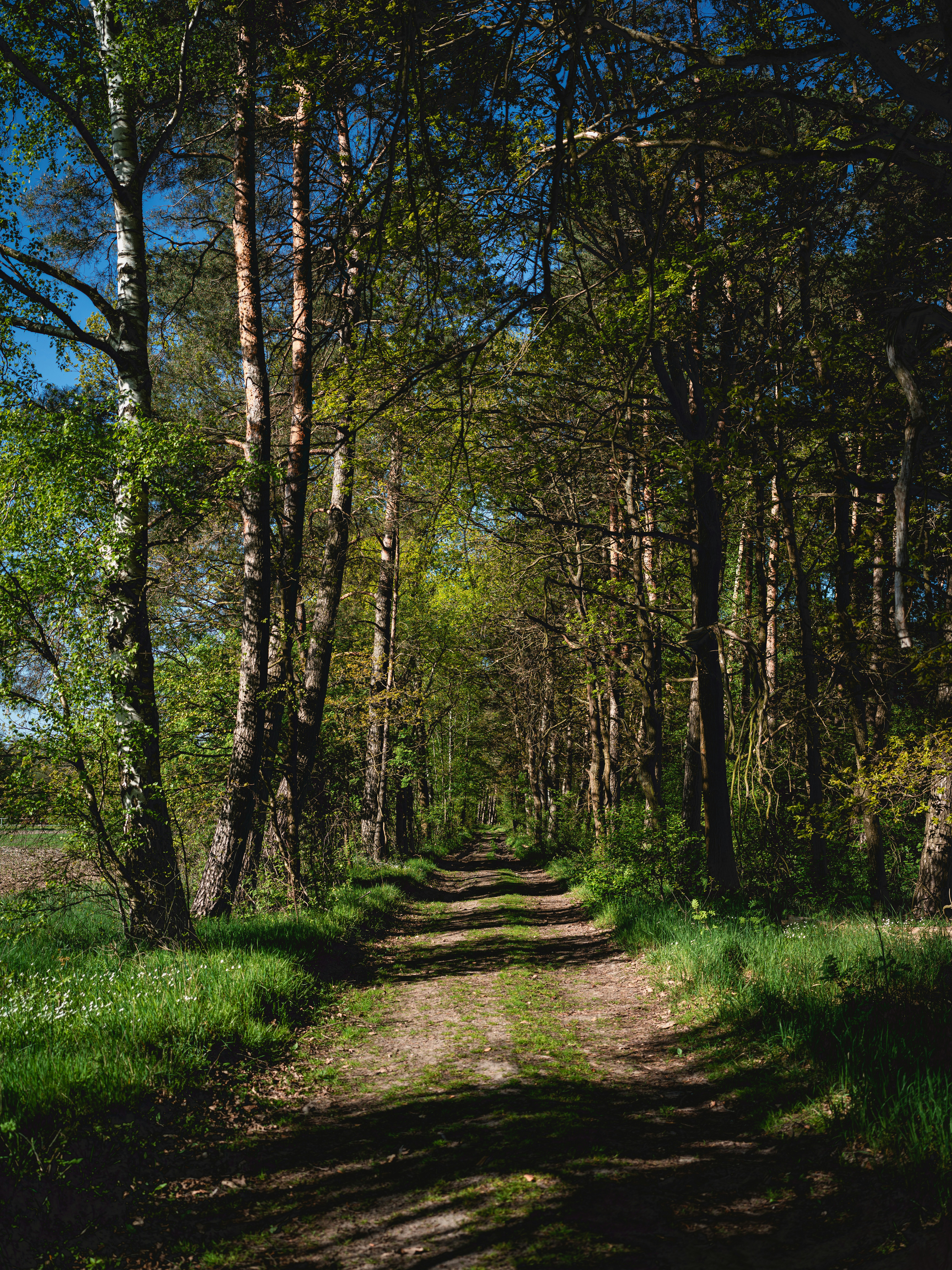 Photo by egorkomarov