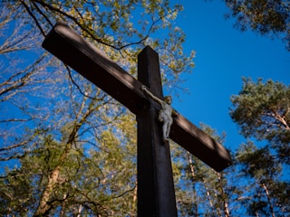 a wooden cross with a vine hanging from it