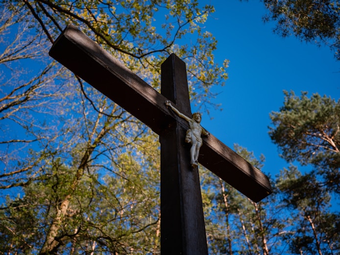 a wooden cross with a vine hanging from it