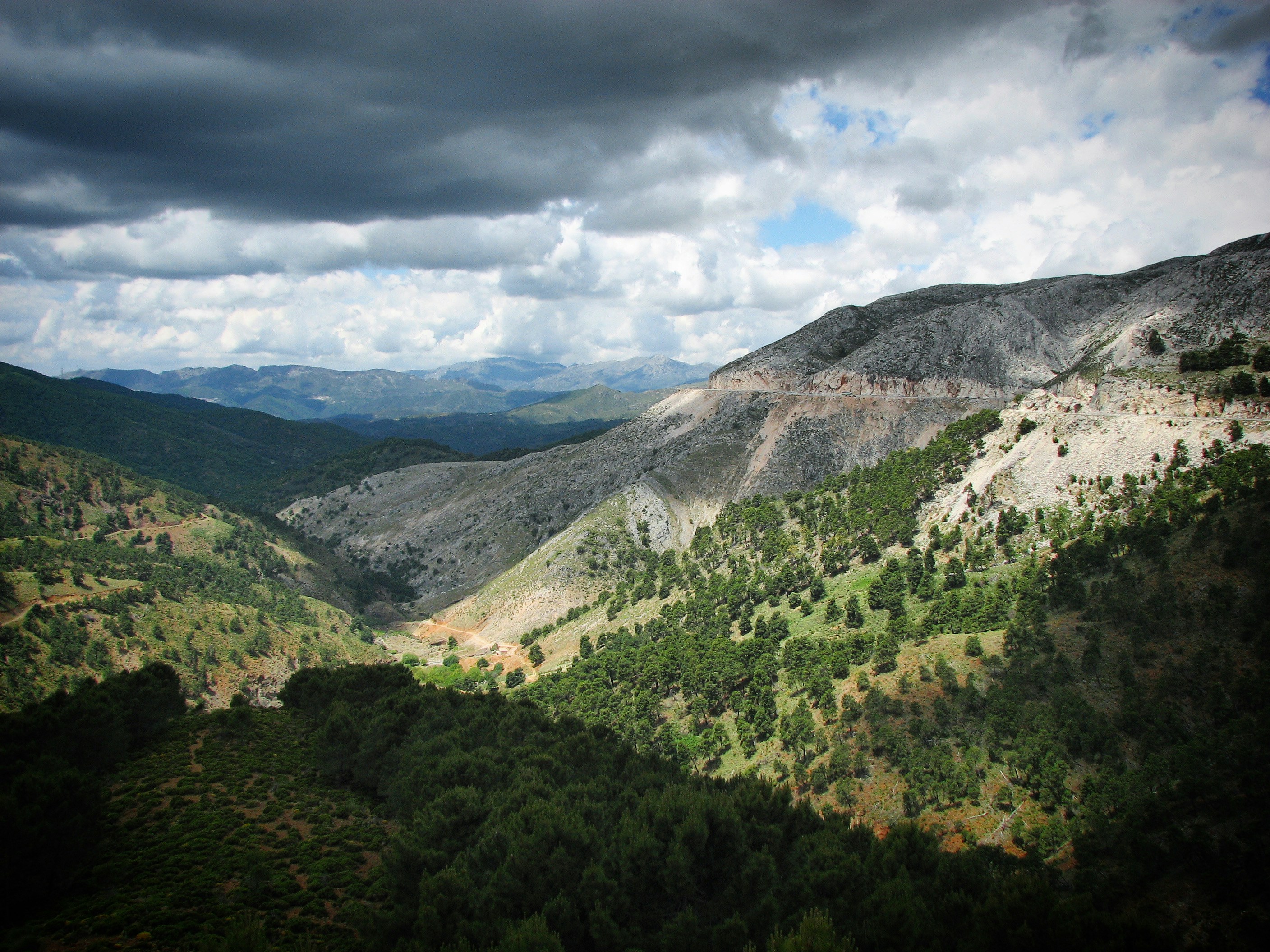 Photo by sergei_gussev