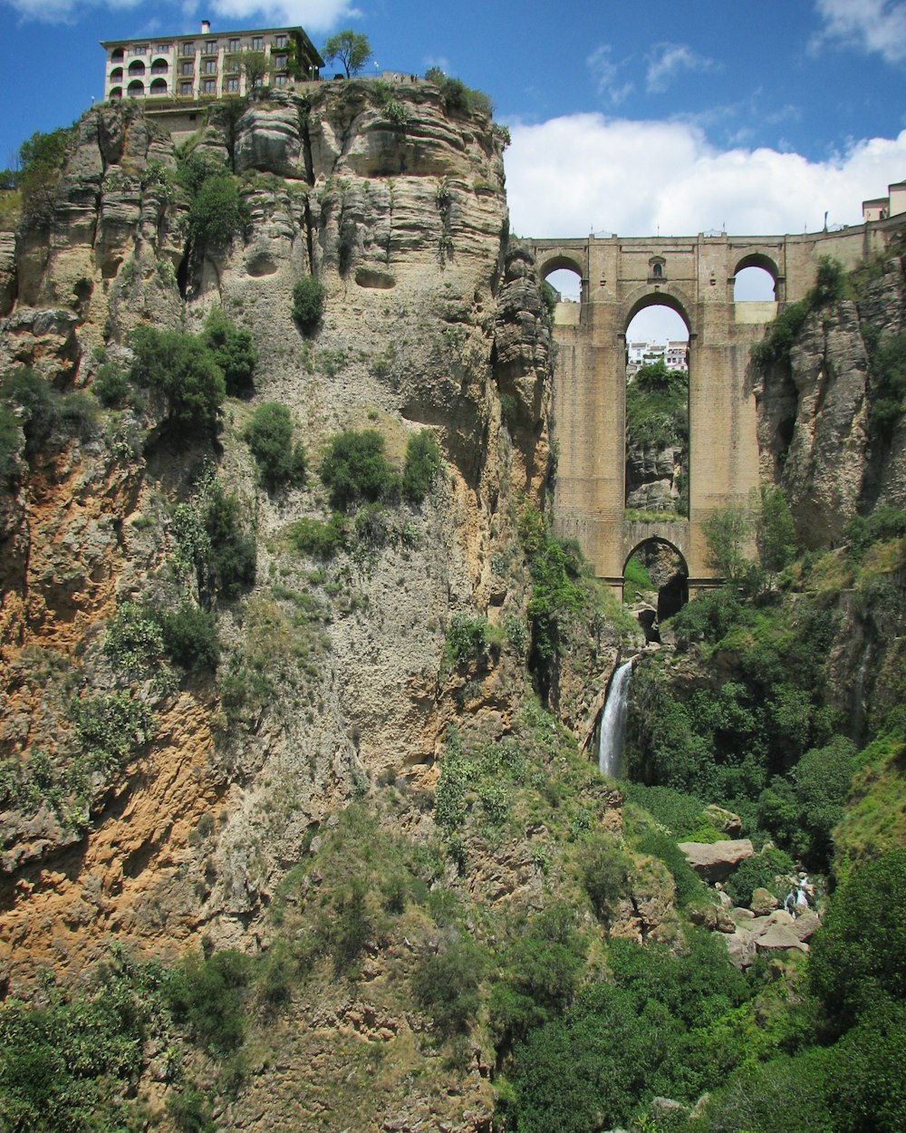 Un grande ponte su un fiume accanto a una lussureggiante foresta verde