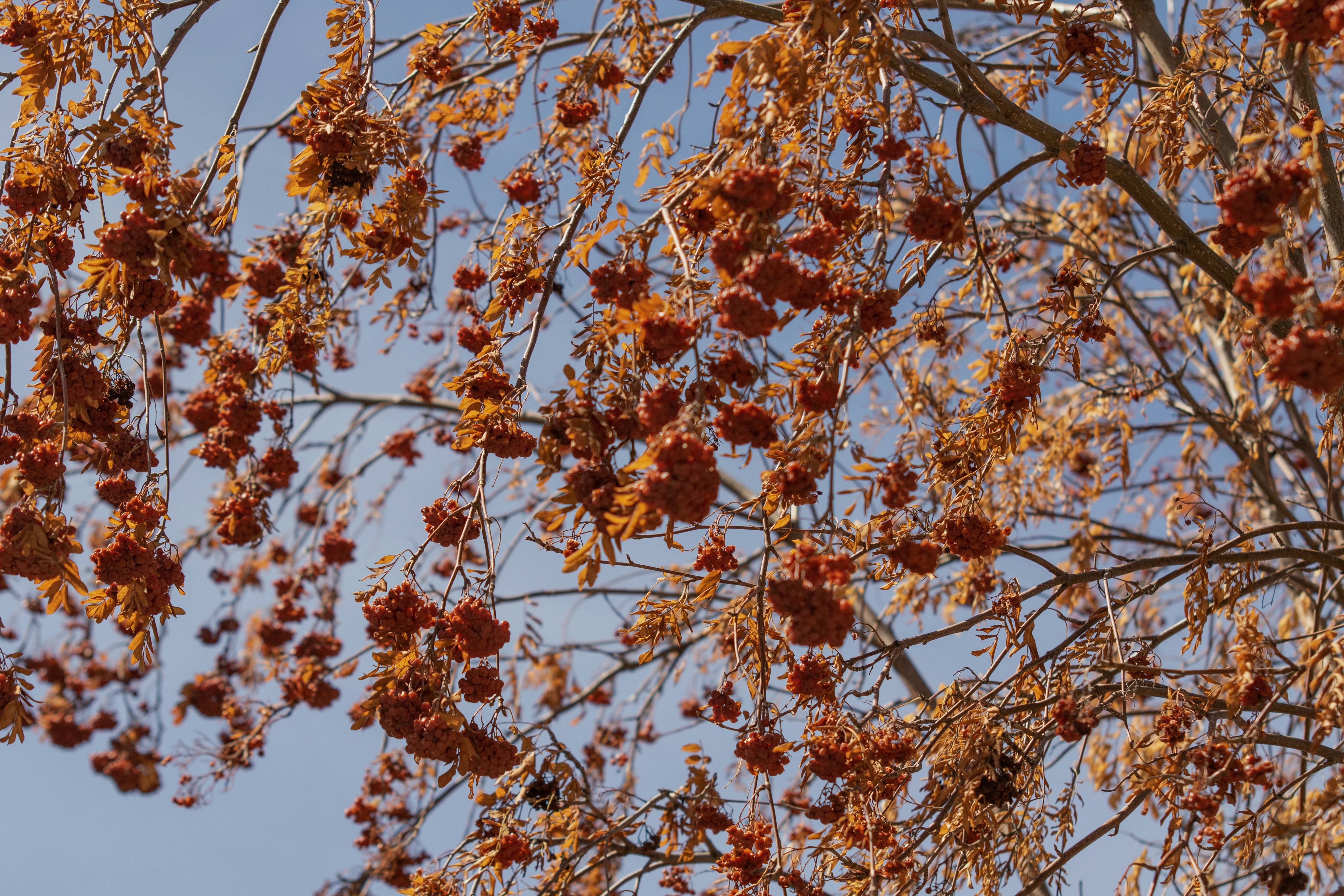 Photo by photo_tanbir