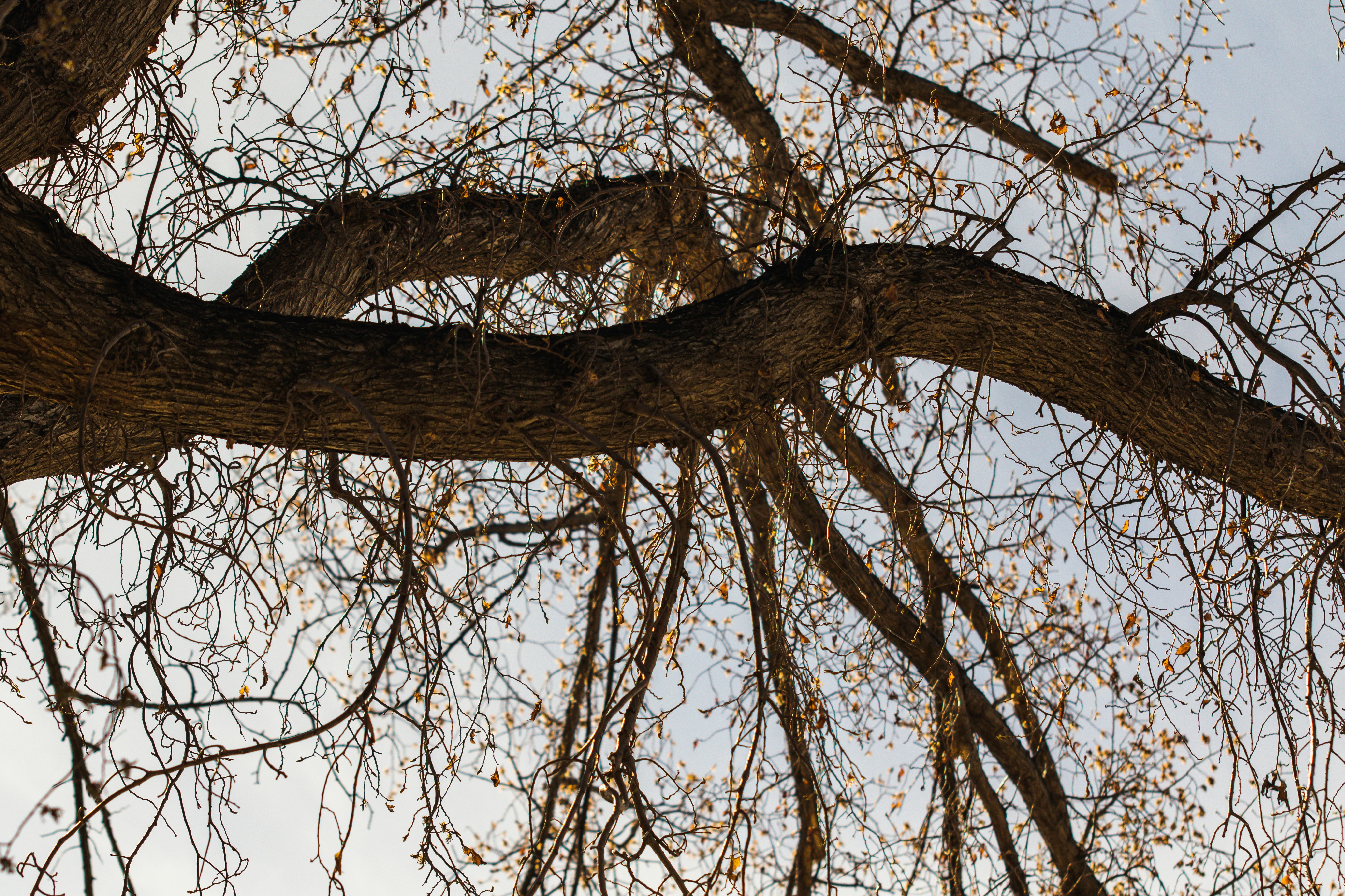 Photo by photo_tanbir