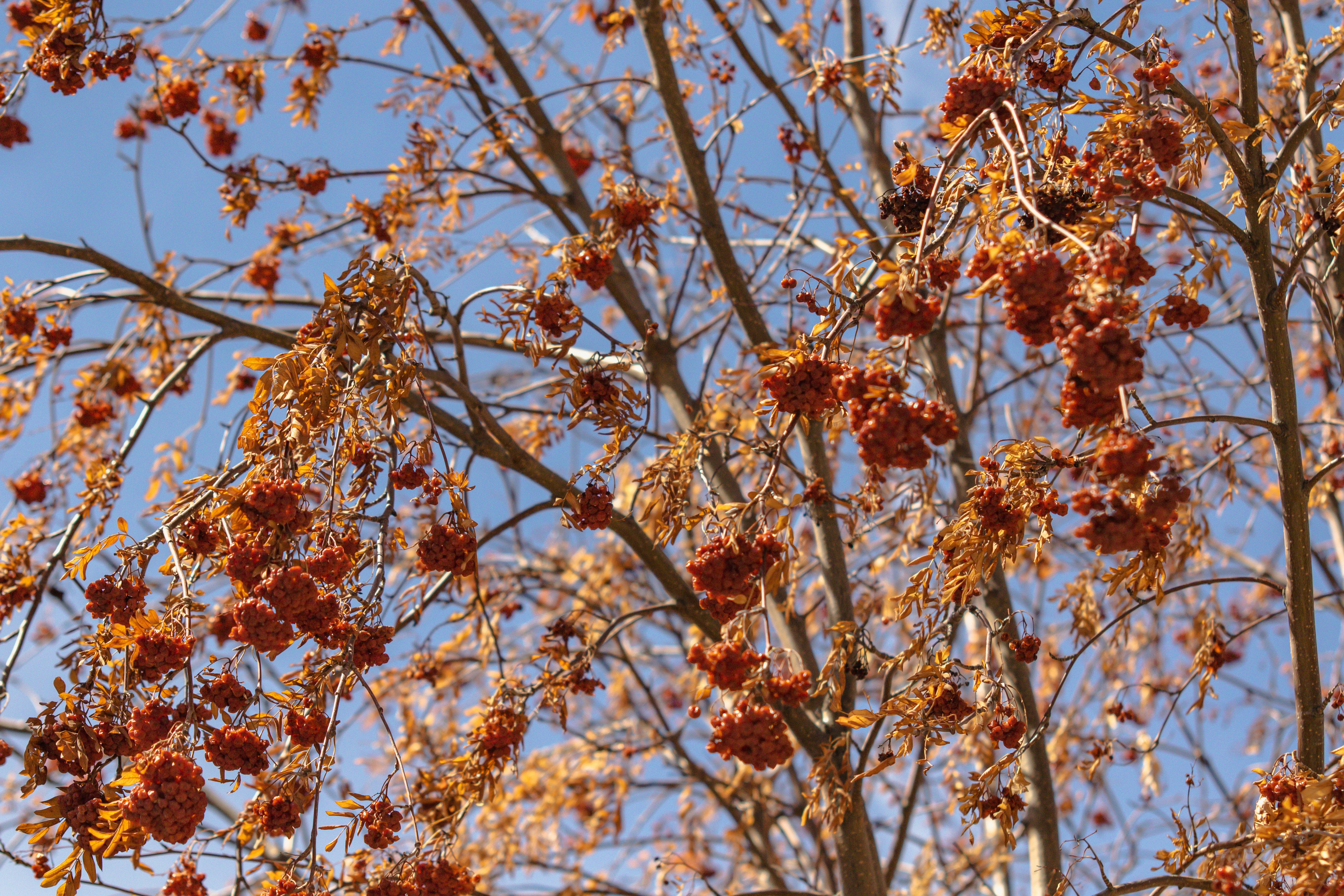 Photo by photo_tanbir