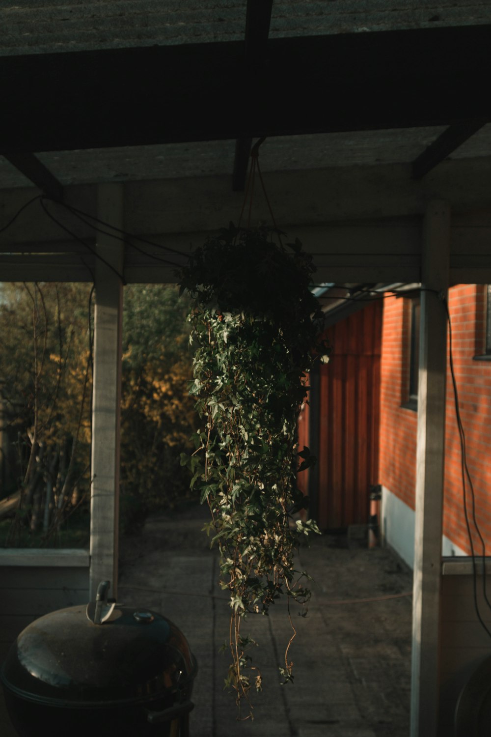 a potted plant hanging from a roof