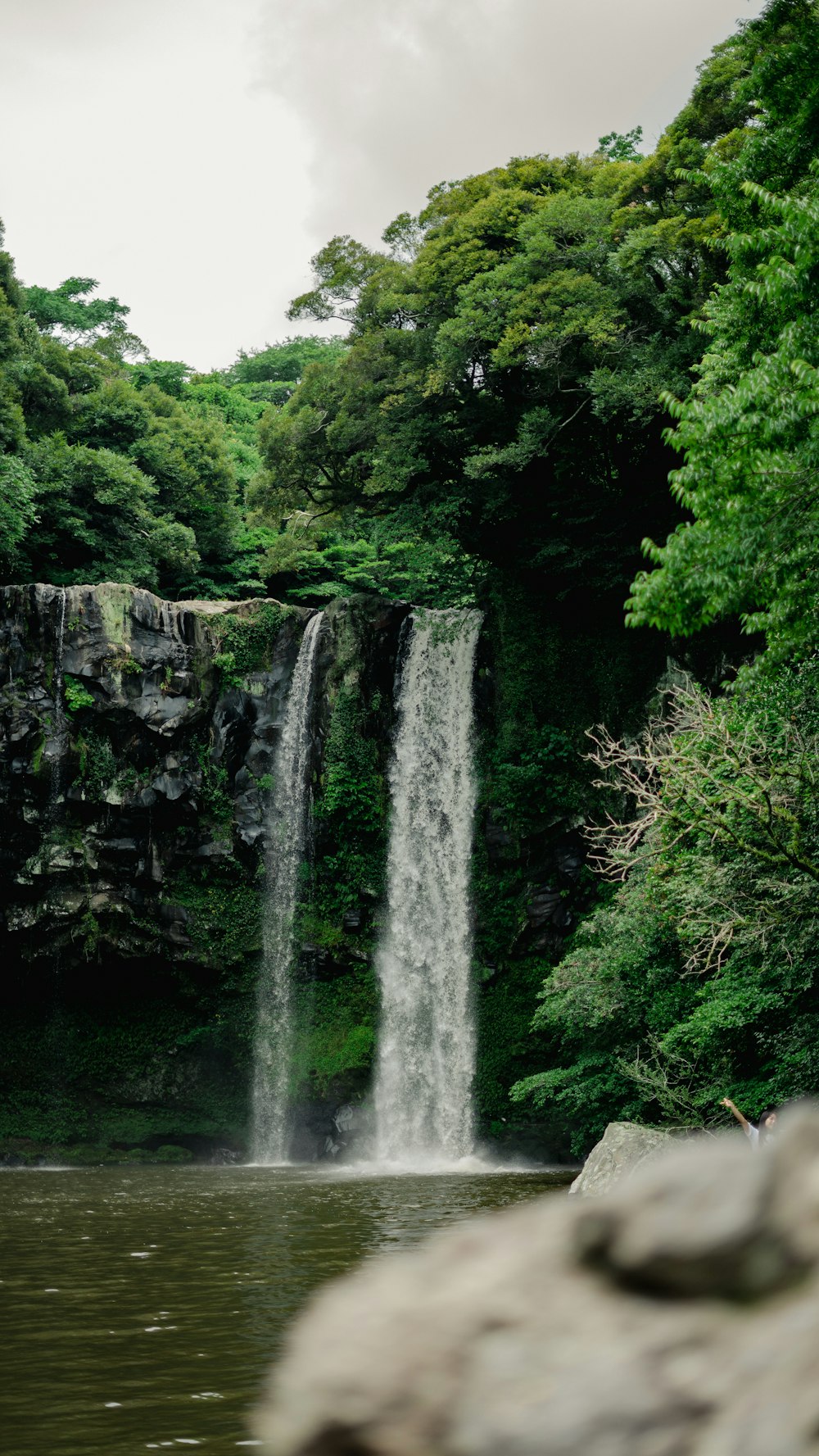 a waterfall in the middle of a lush green forest