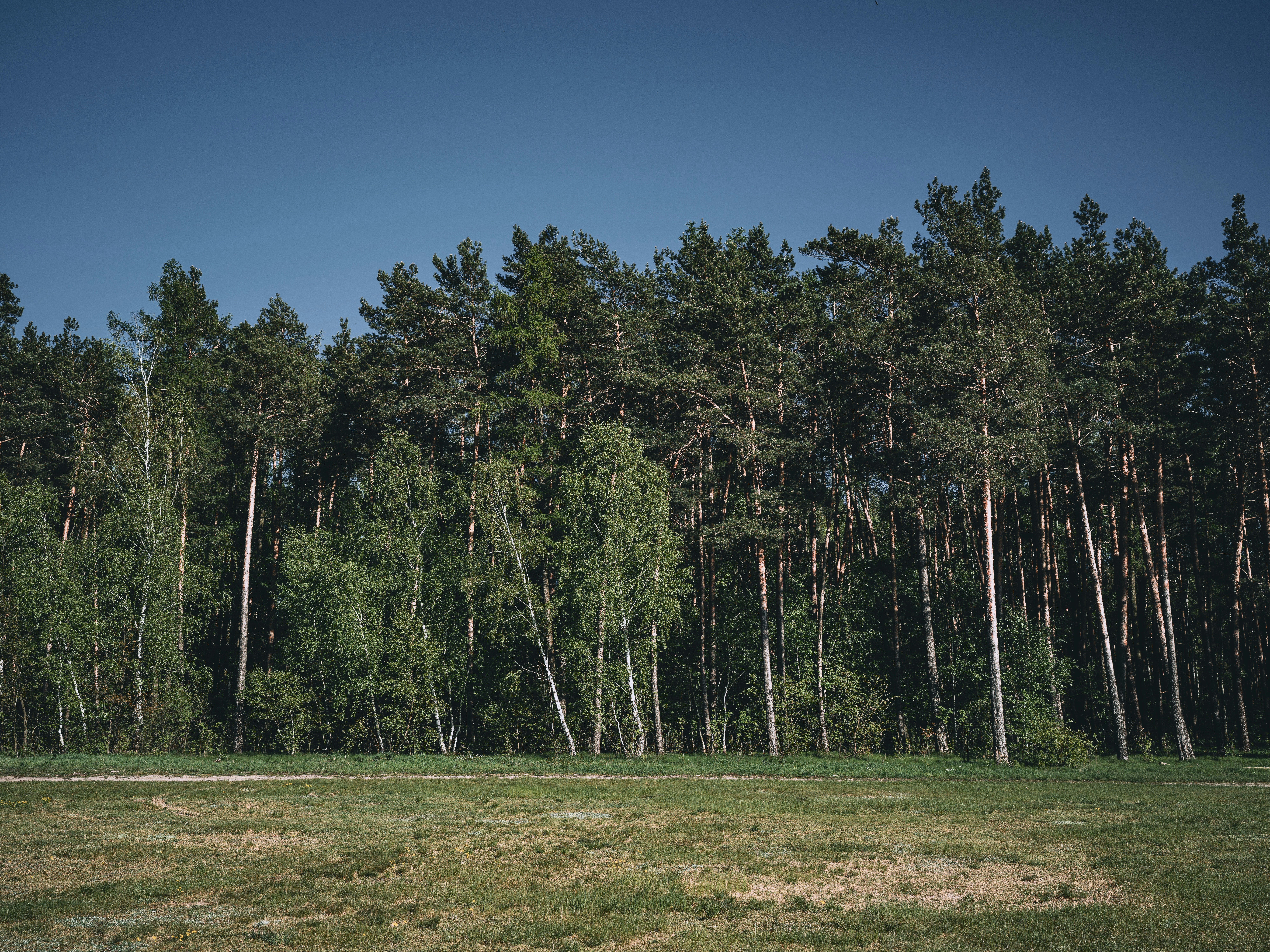 Photo by egorkomarov