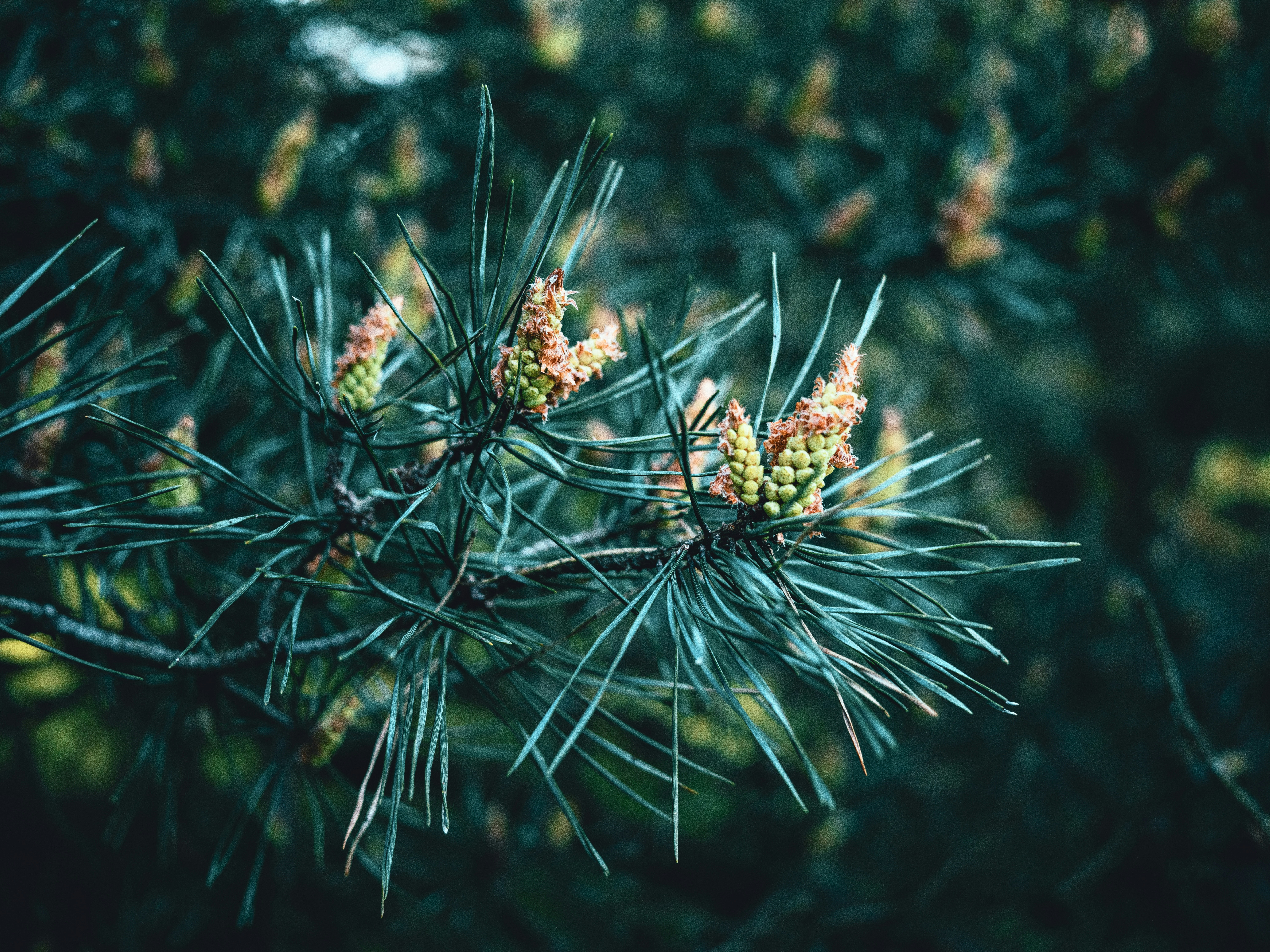 Photo by egorkomarov