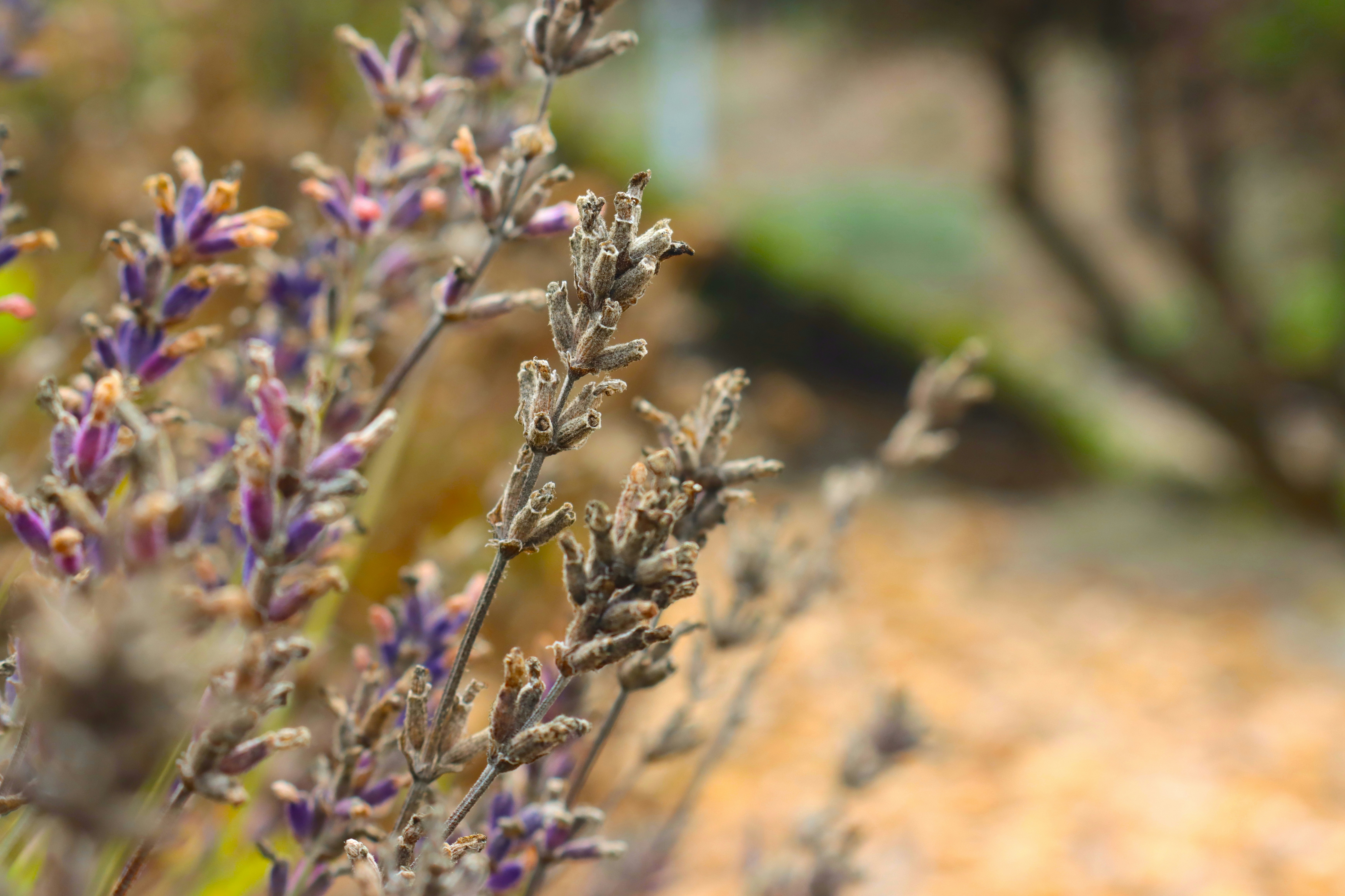 Photo by vwalbrandt81