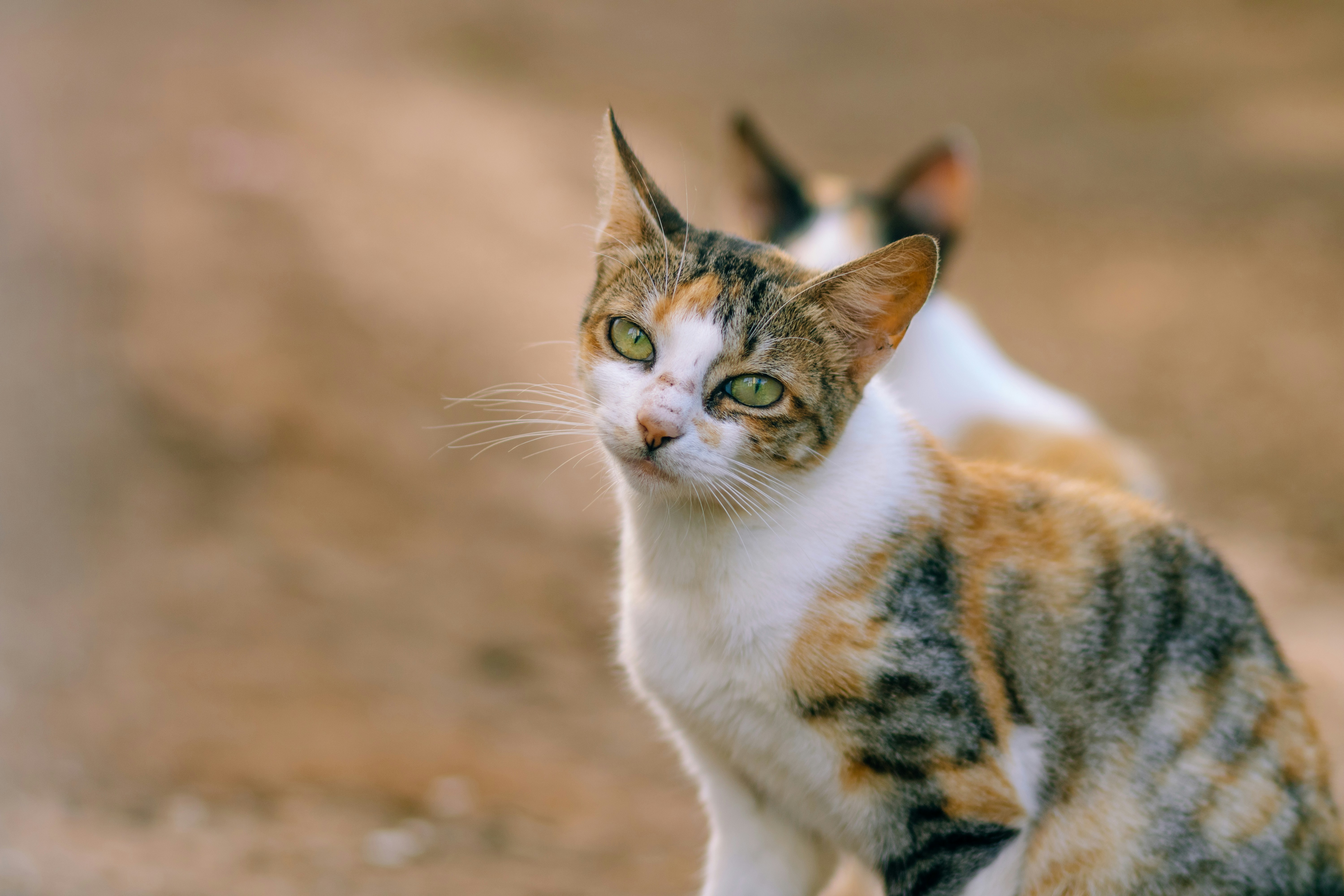 Photo by annamighttakepics