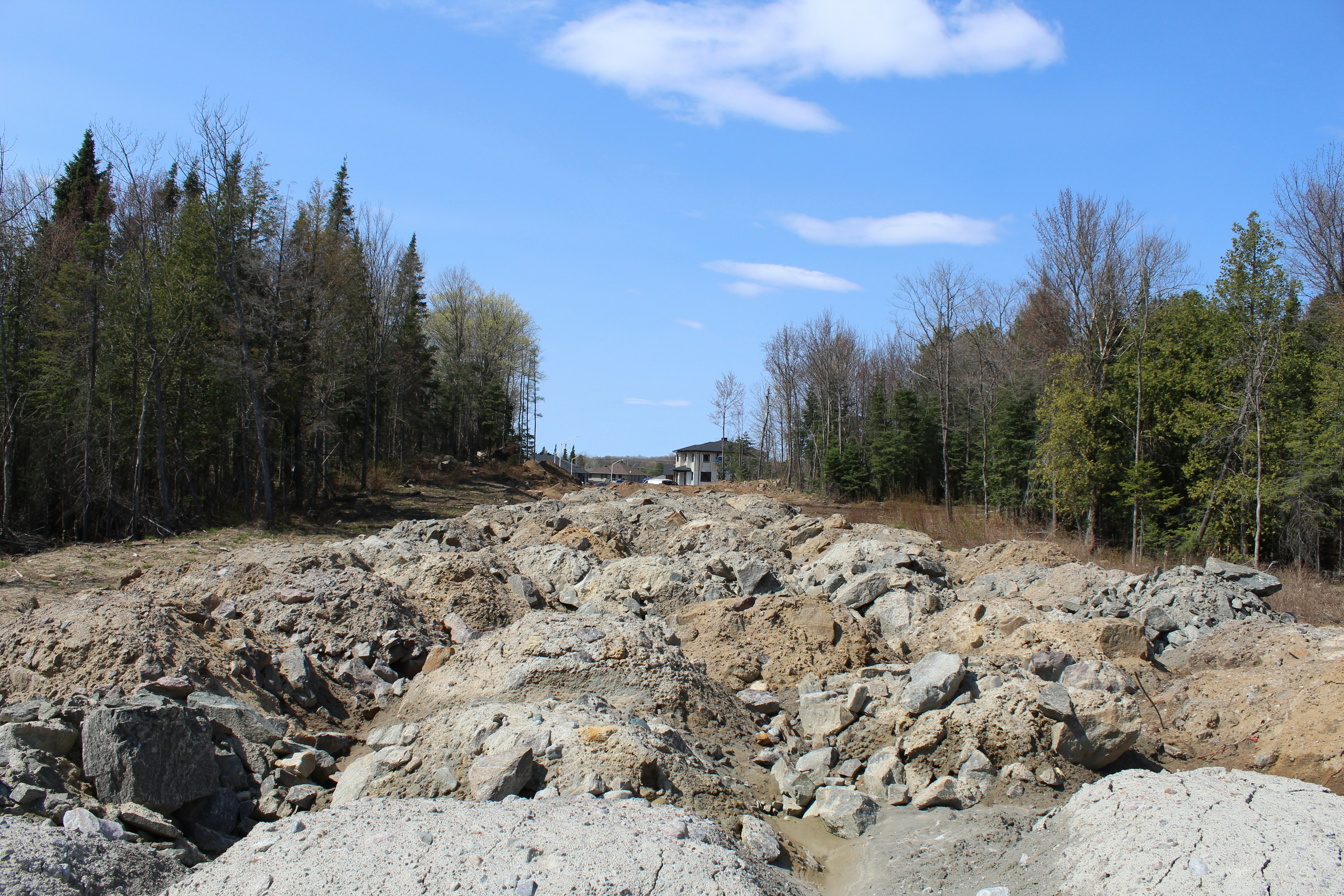 eine unbefestigte Straße, umgeben von Felsen und Bäumen