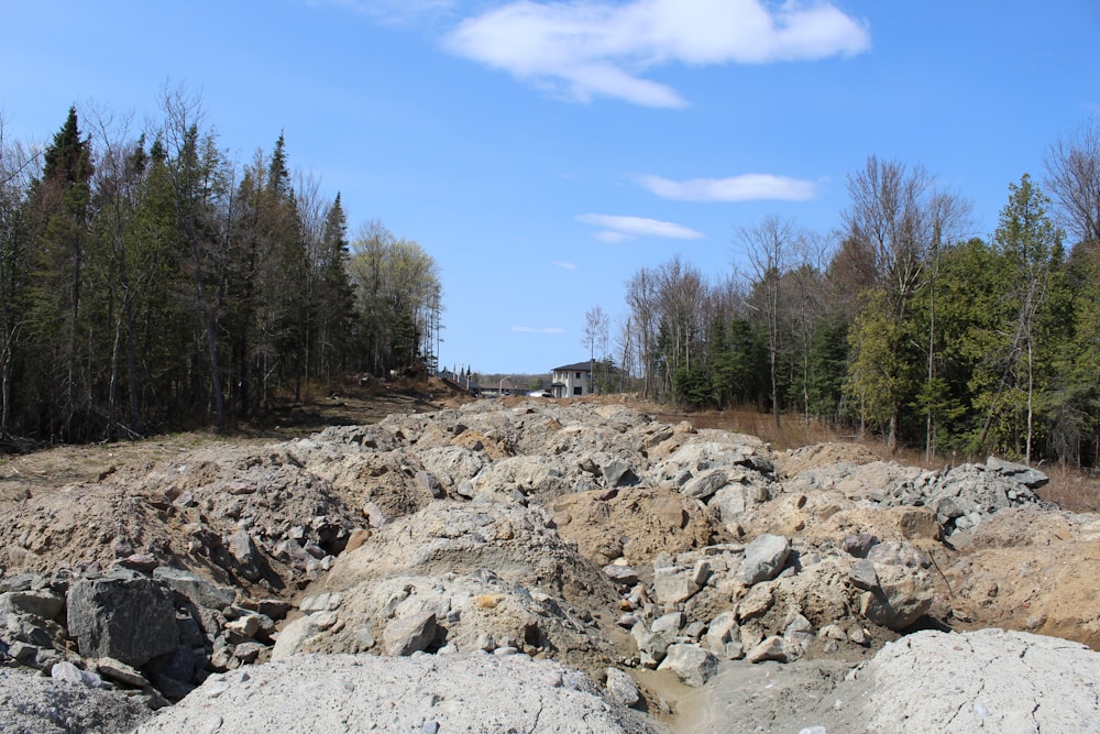 a dirt road surrounded by rocks and trees