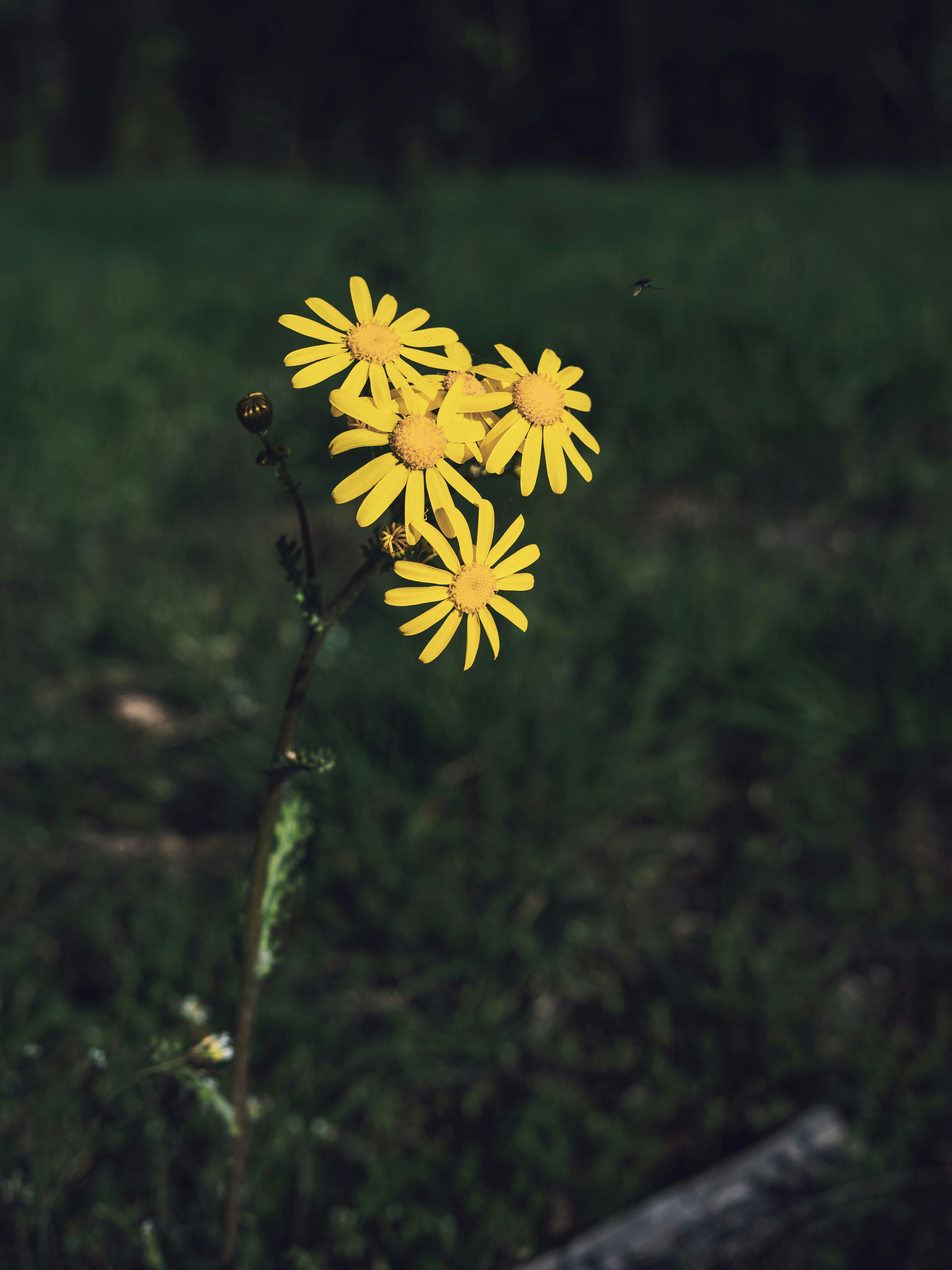 Photo by egorkomarov