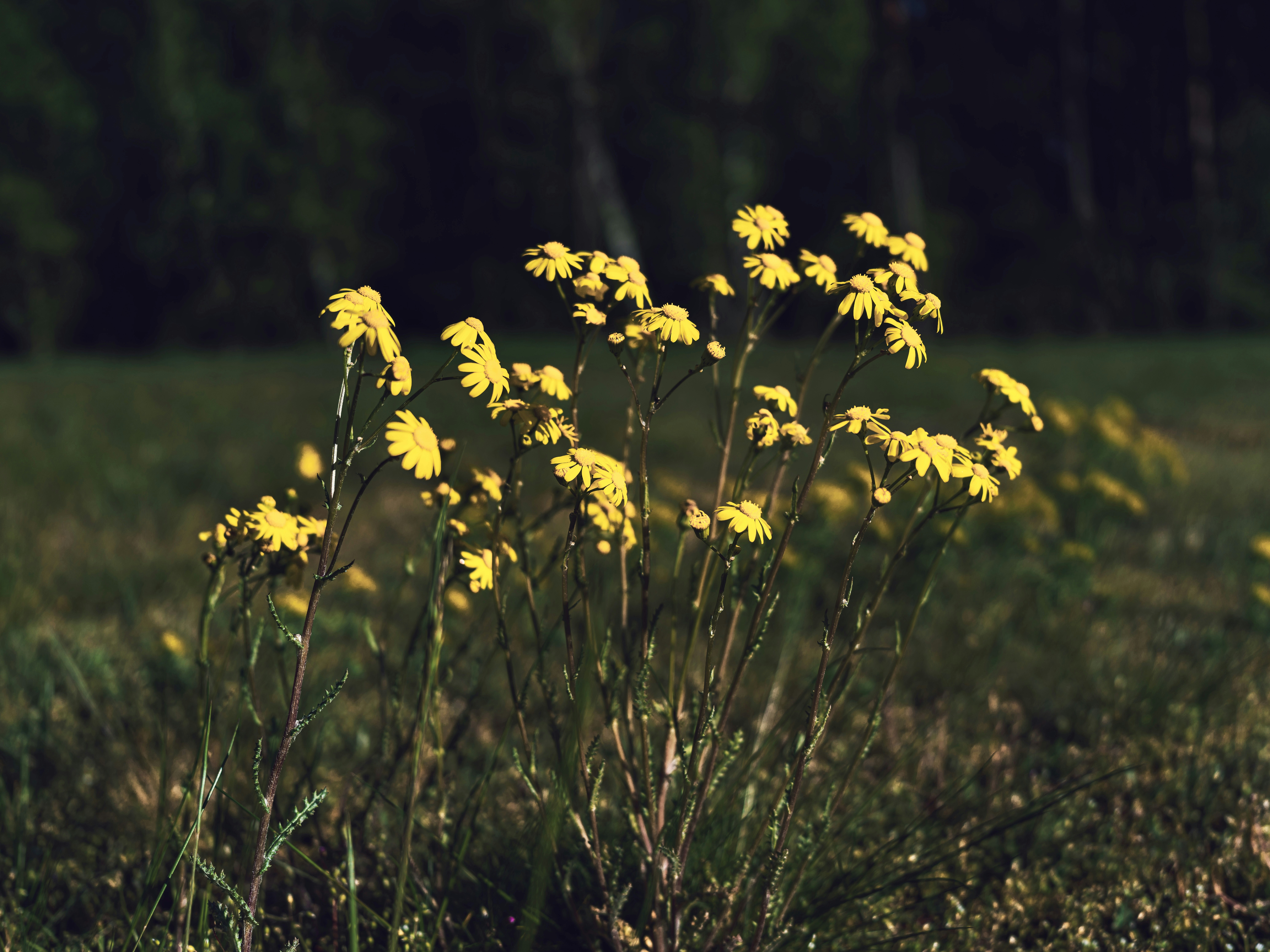 Photo by egorkomarov