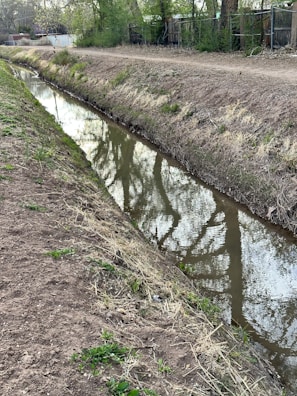 a small stream running through a field next to a dirt road