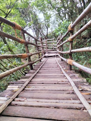 Volunteers repairing a wooden bridge over a small creek in the forest.