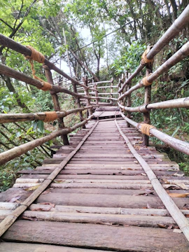 Volunteers repairing a wooden bridge over a small creek in the forest.