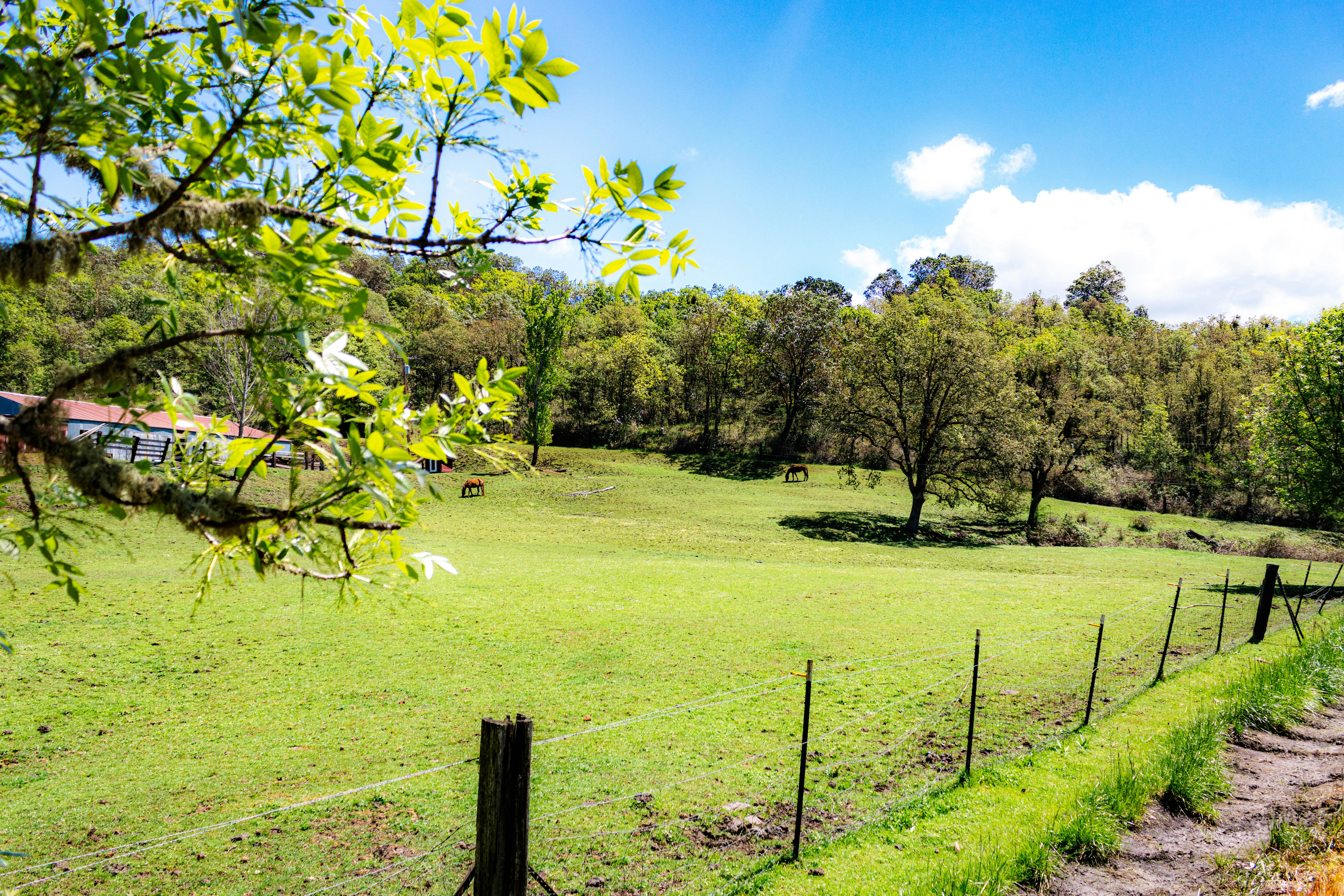 Photo by davidjboozer