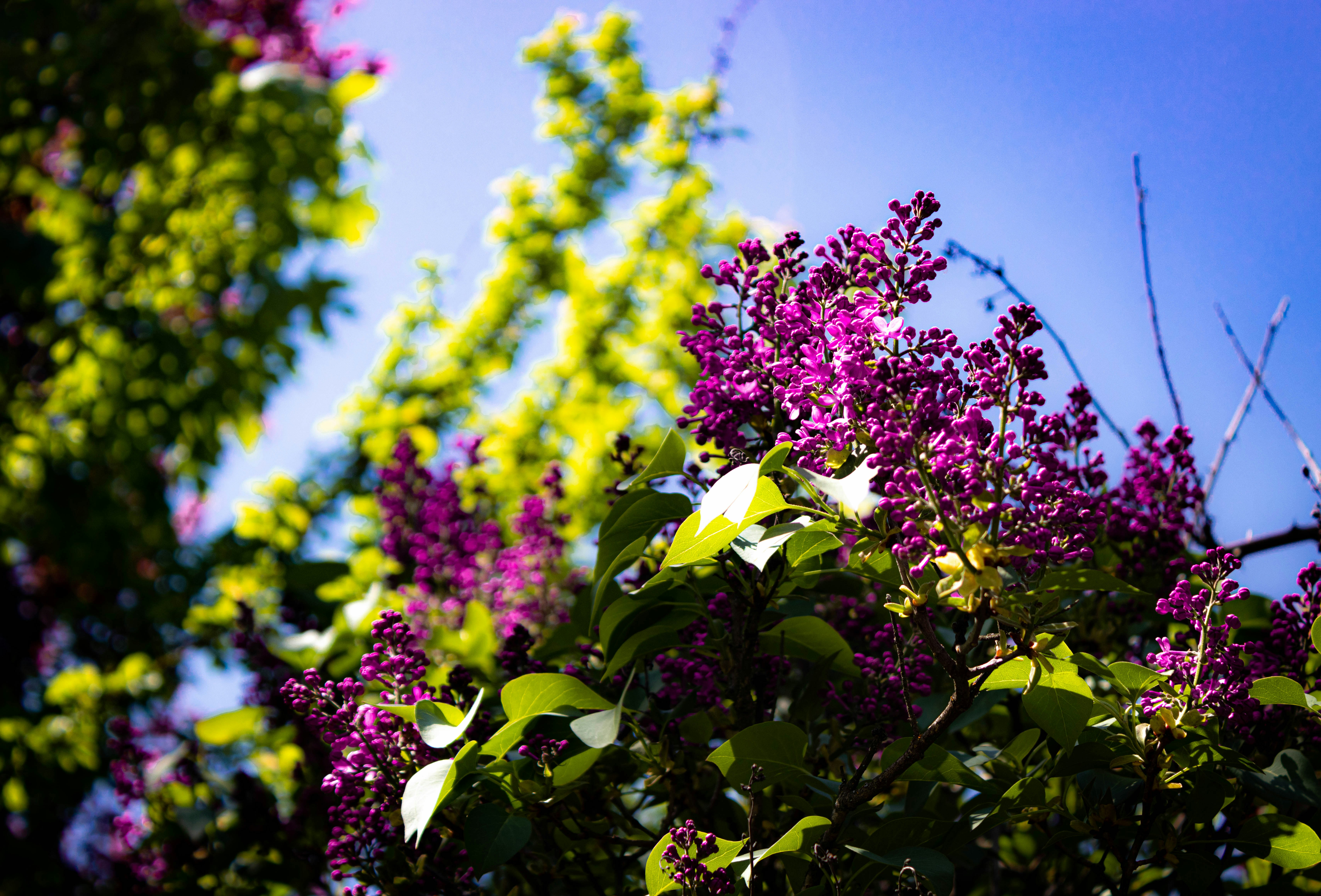 Photo by davidjboozer