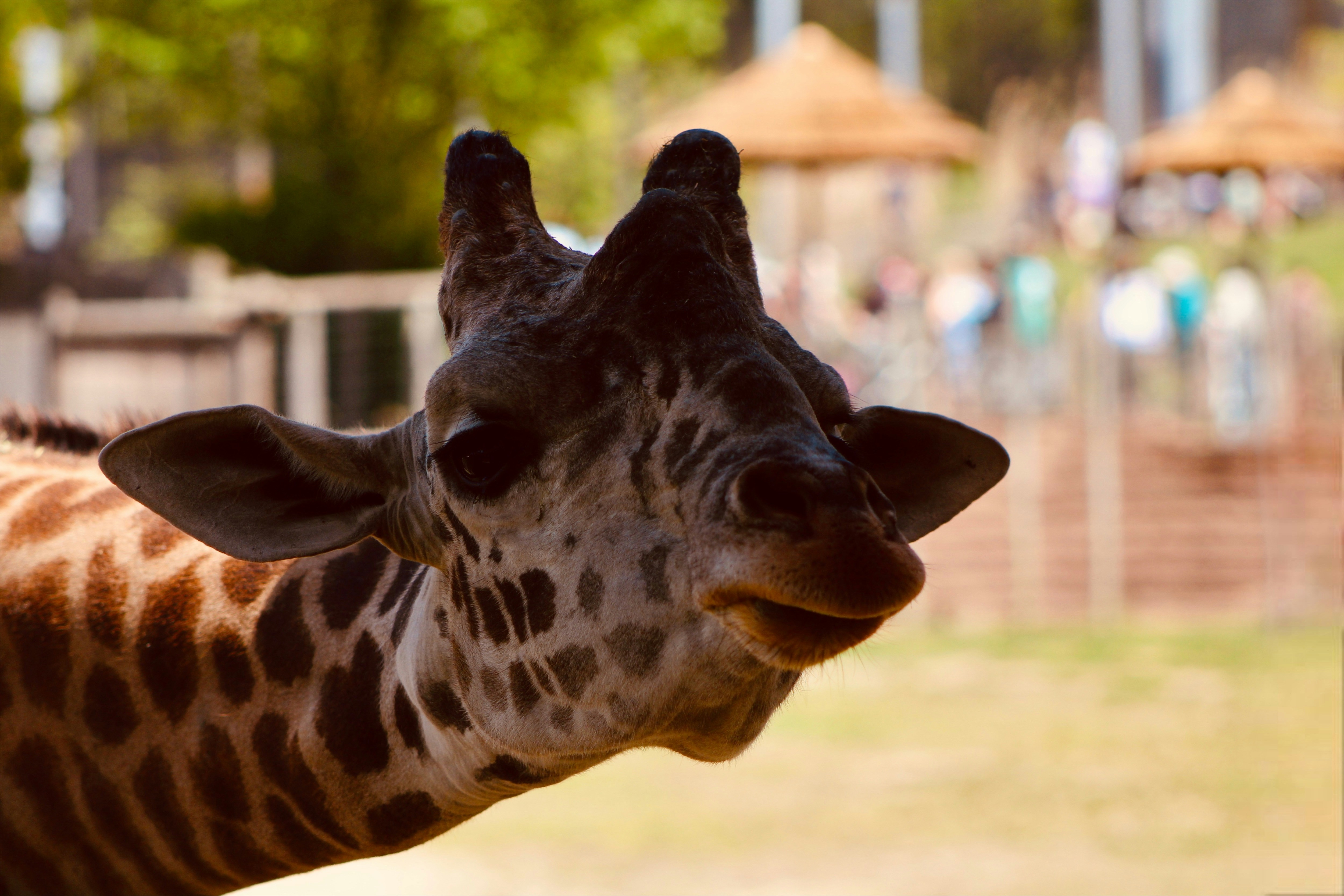 Photo by hocuspocusphotography