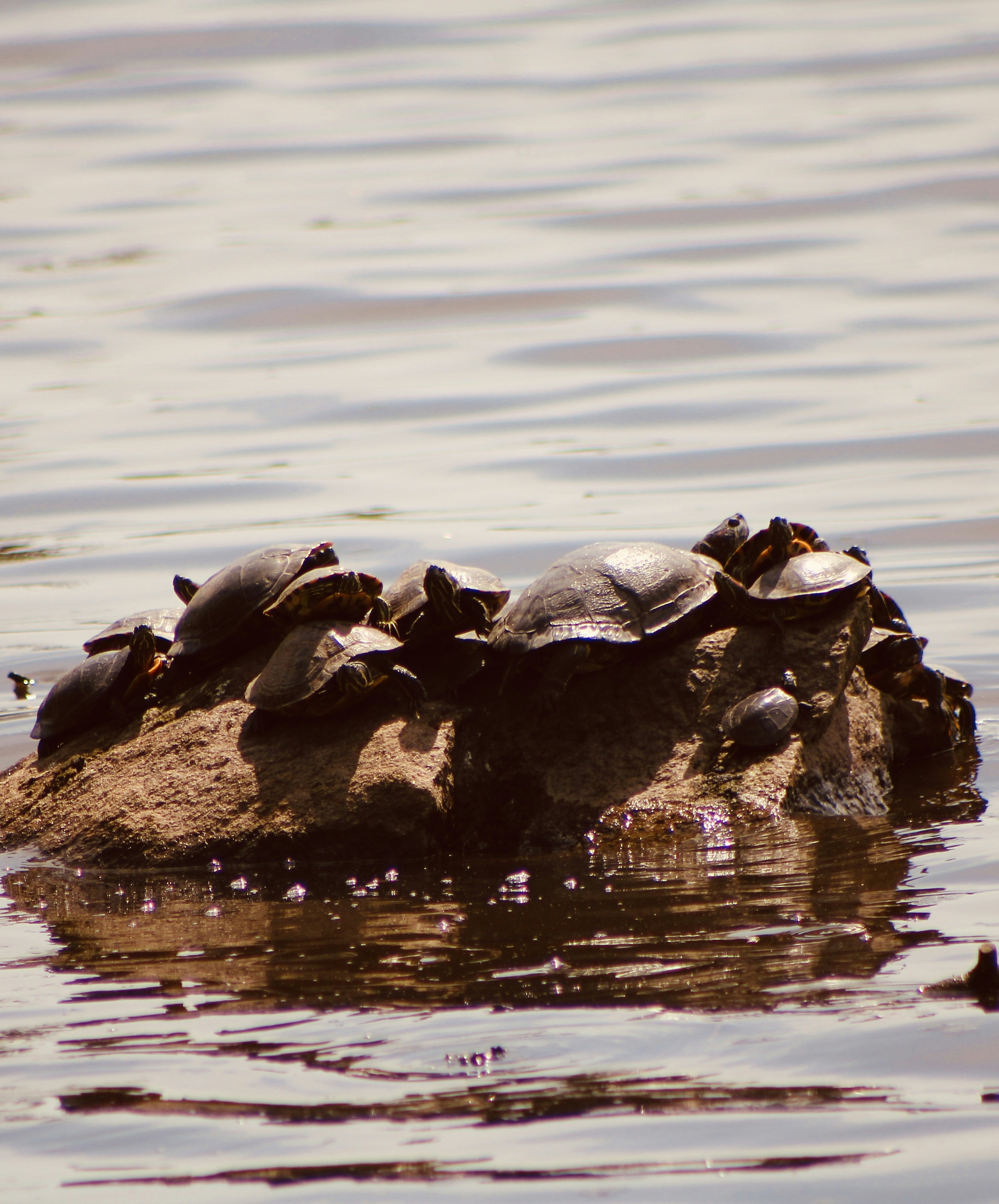 Photo by hocuspocusphotography