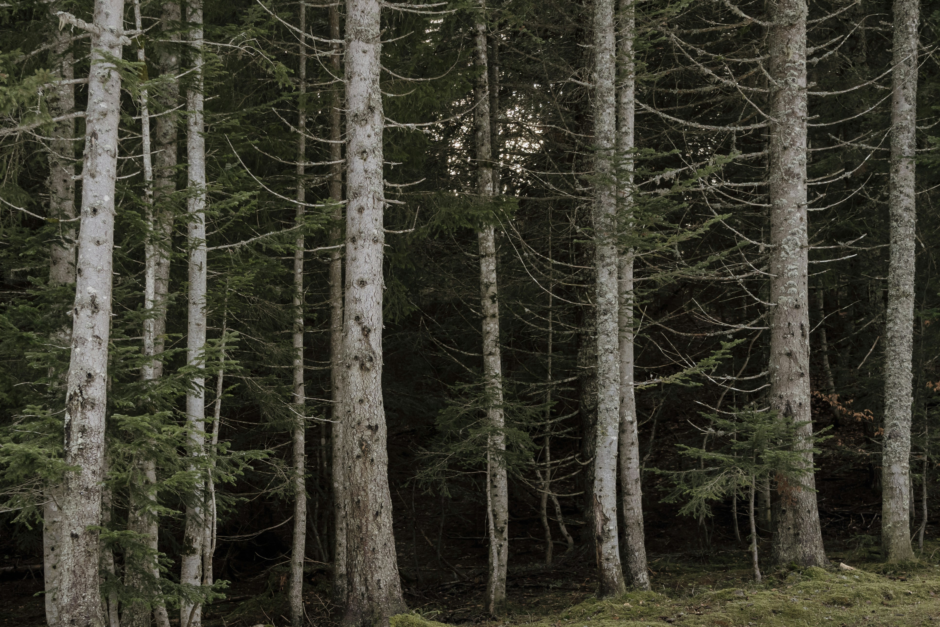 Photo by nerissa_j_photography