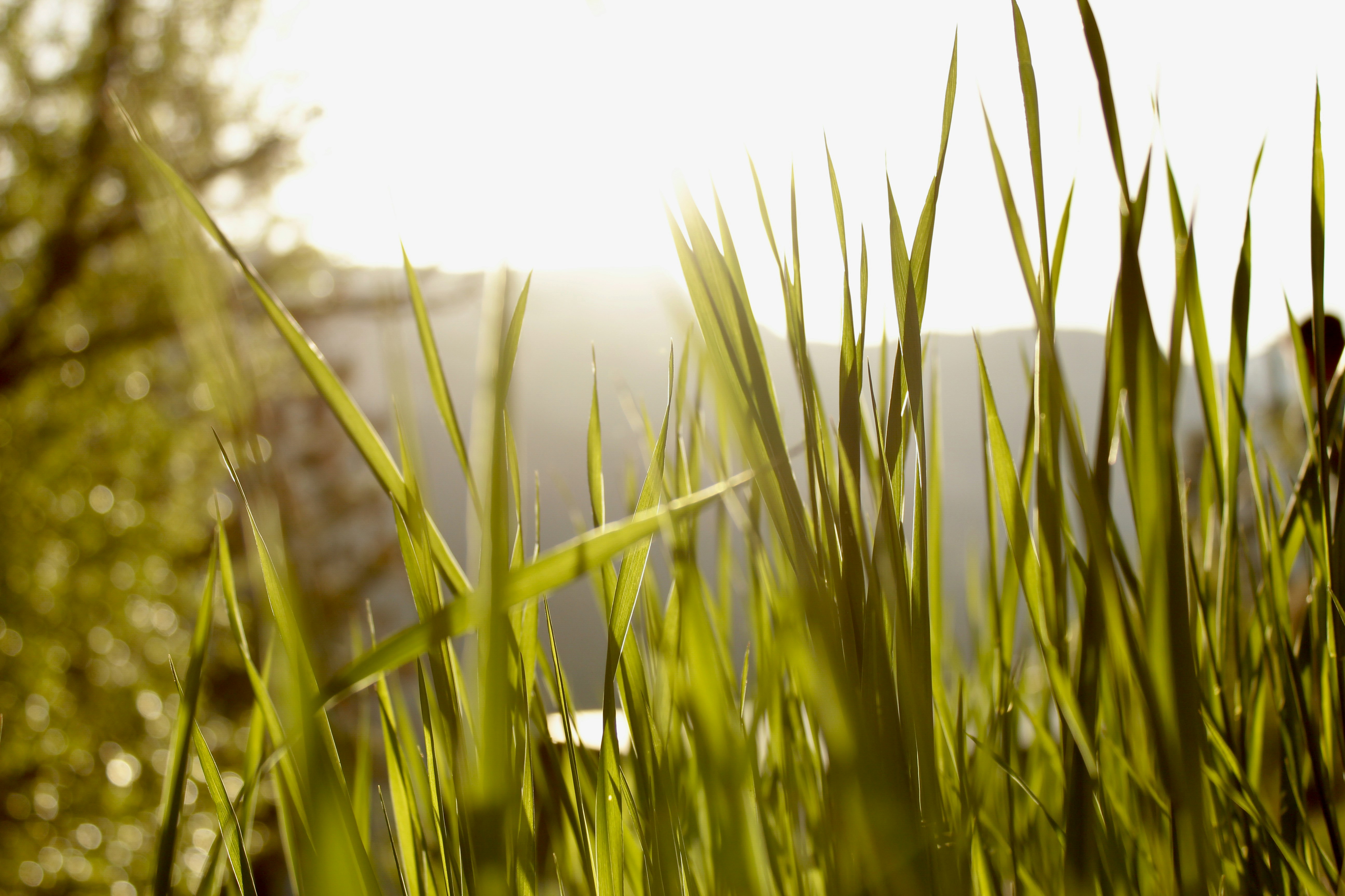 Photo by dcanadianphotographer