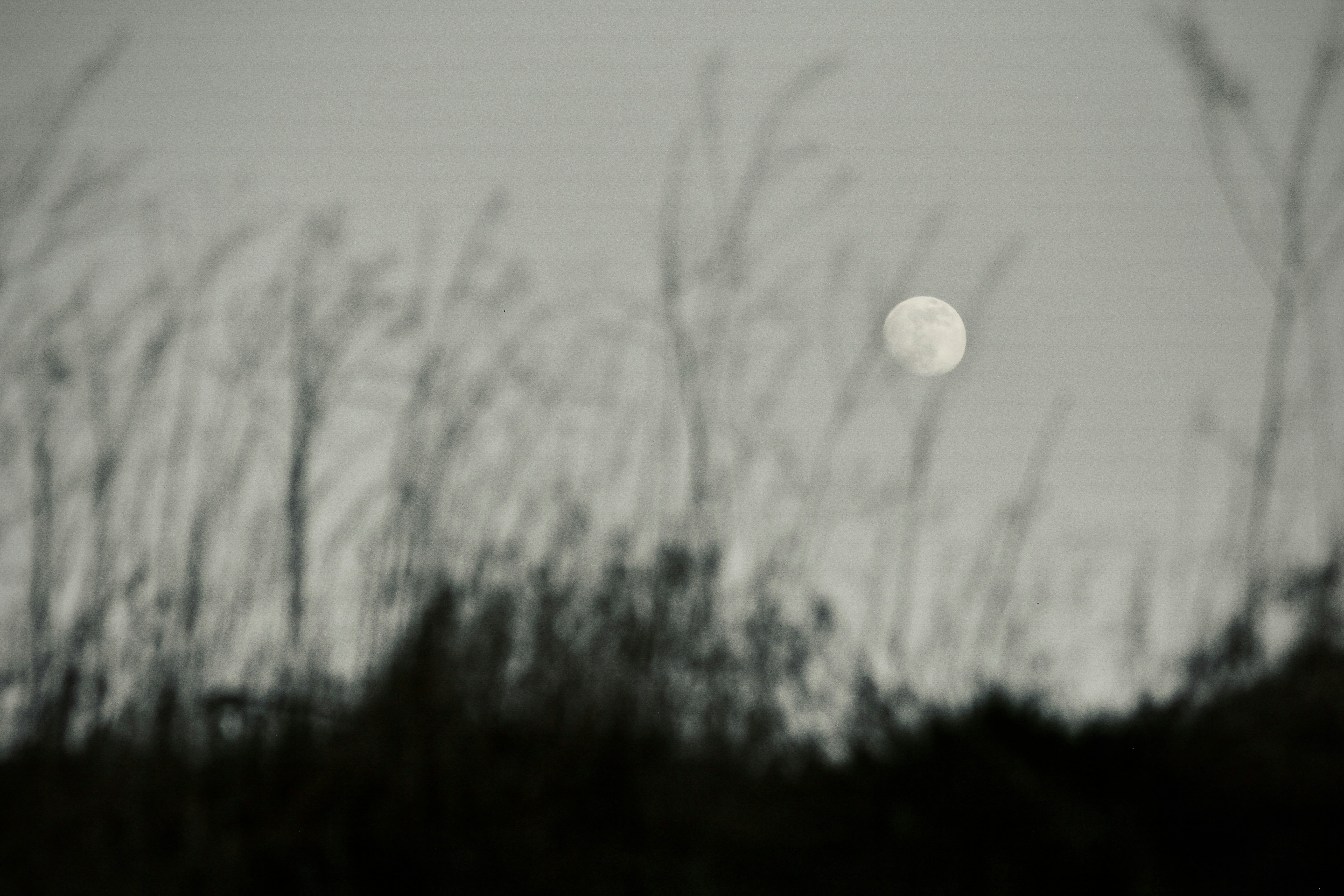 Photo by dcanadianphotographer