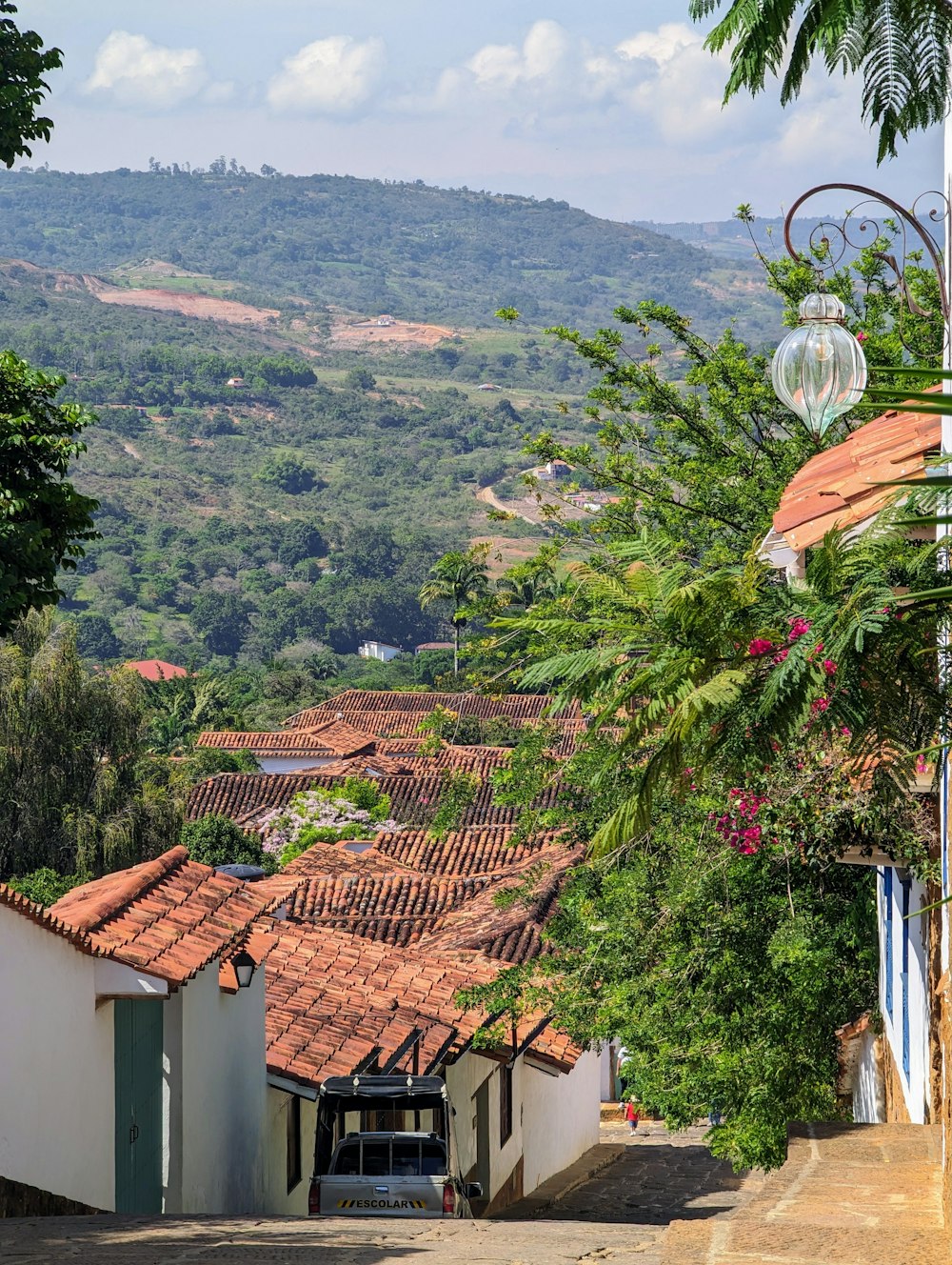 a view of a village with a mountain in the background