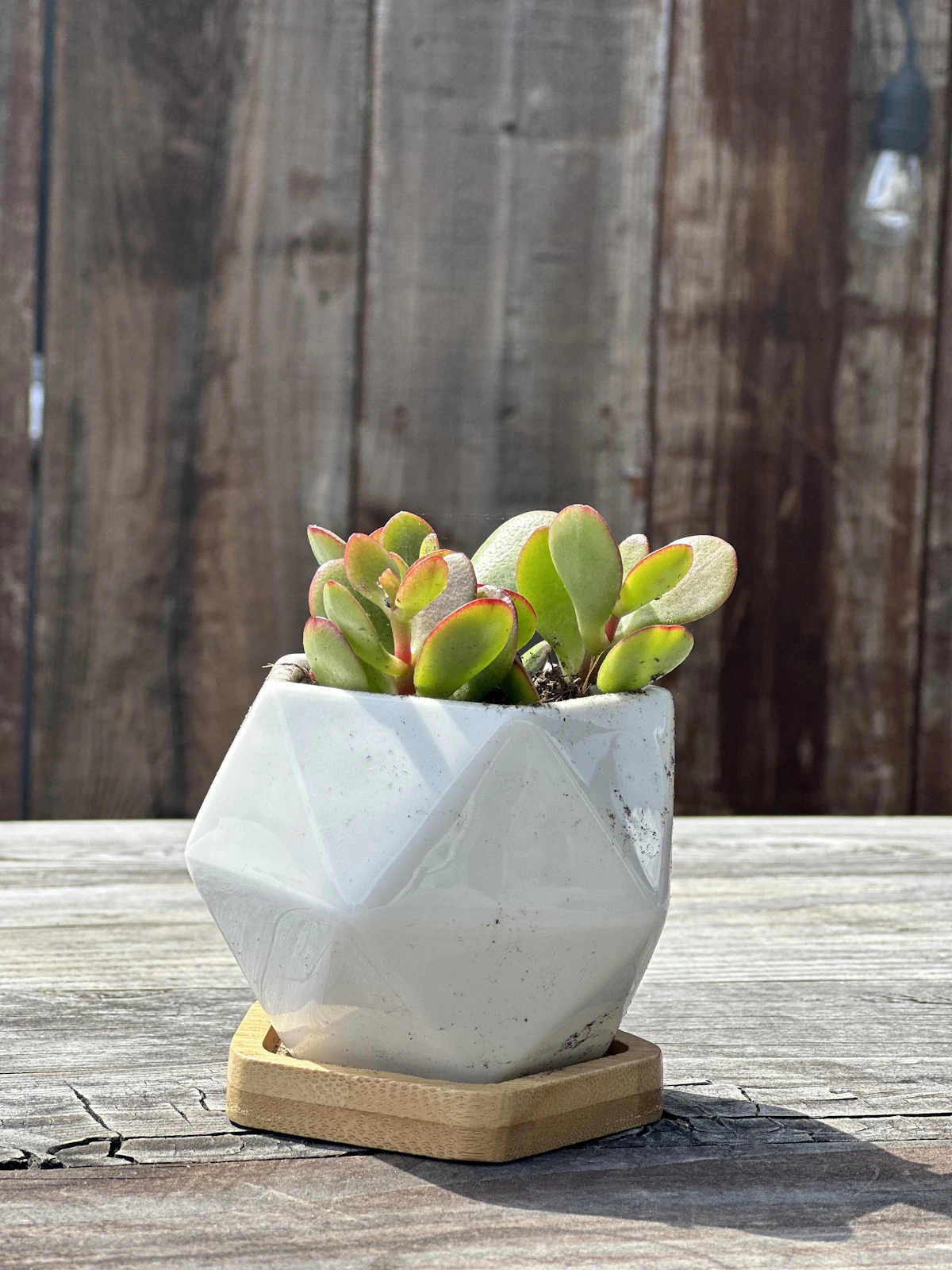 Donice: Donica ceramiczna Bianco