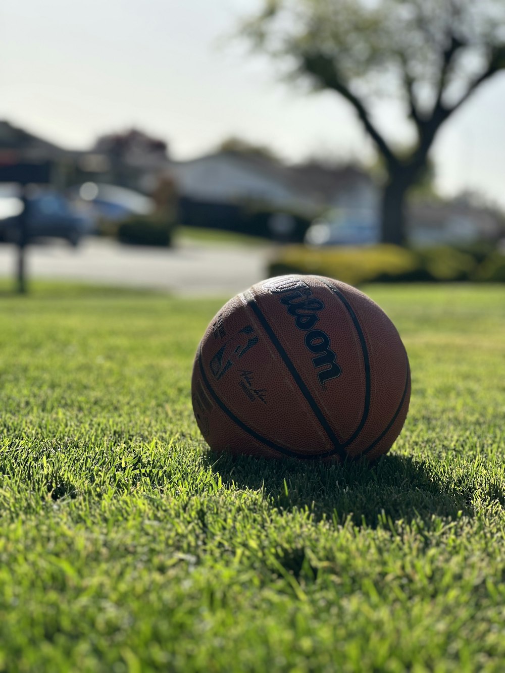 a basketball sitting on top of a lush green field