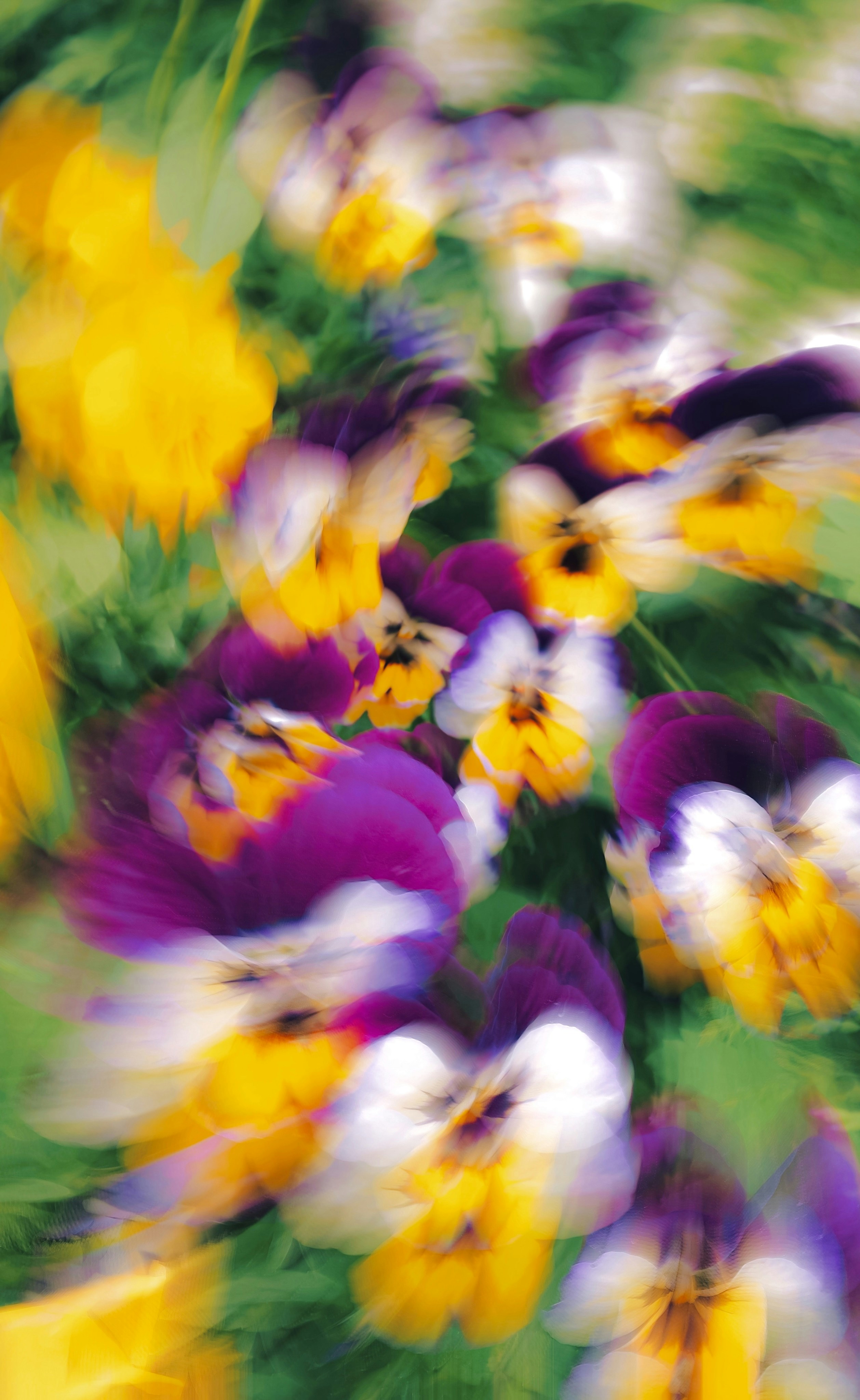 Photo by eugene_golovesov