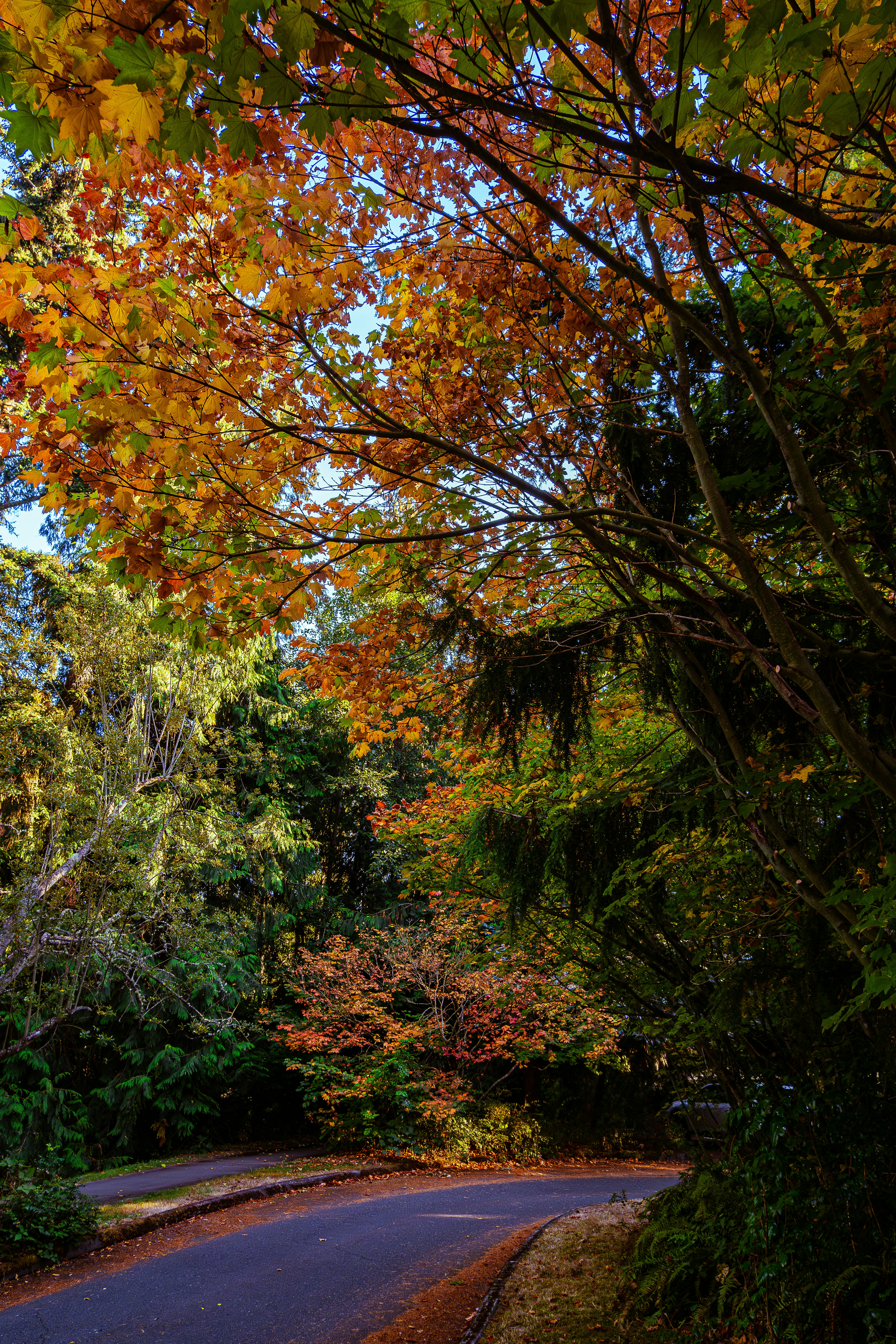 Photo by sleepless_explorer