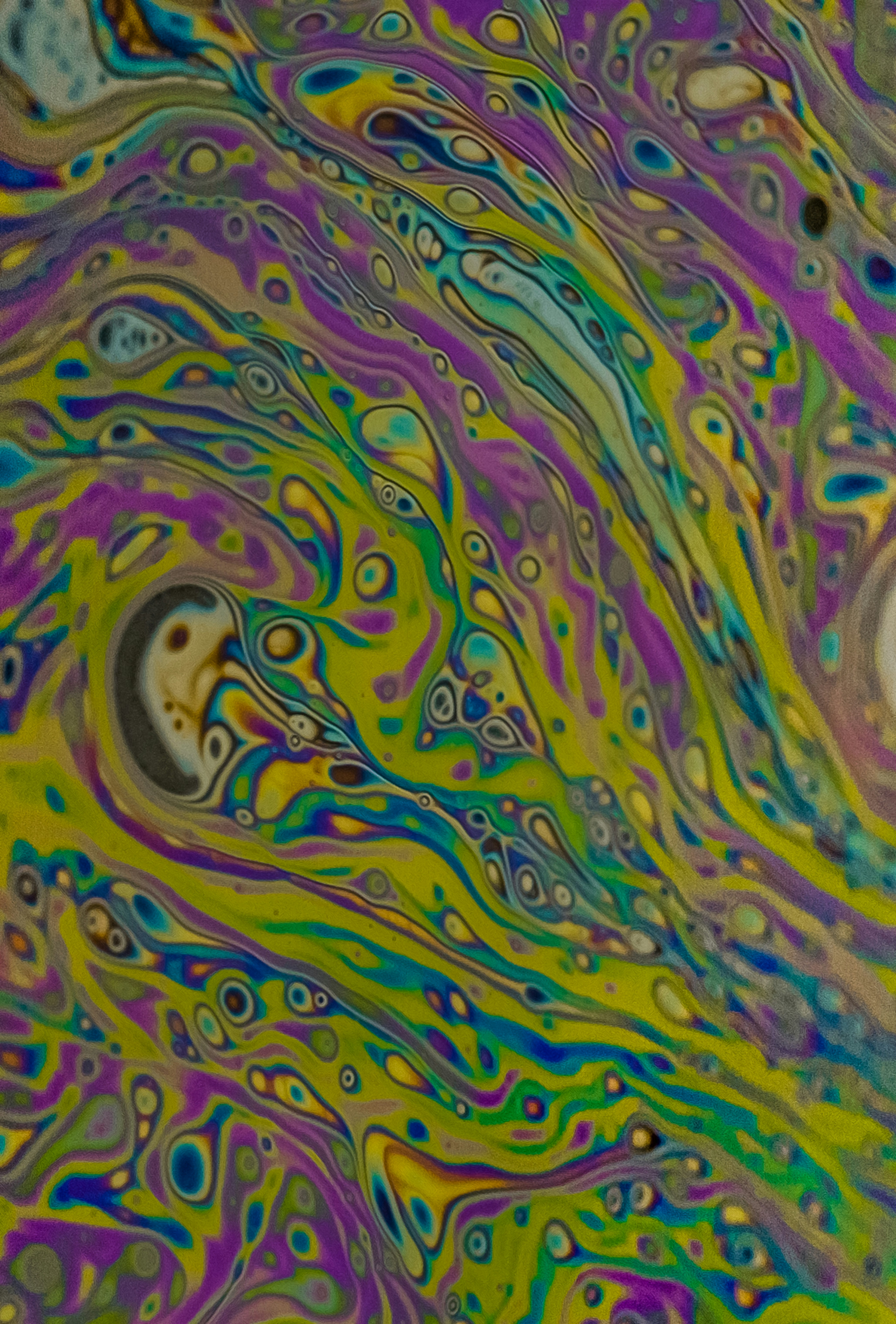 Whimsical Nature-Inspired Designs